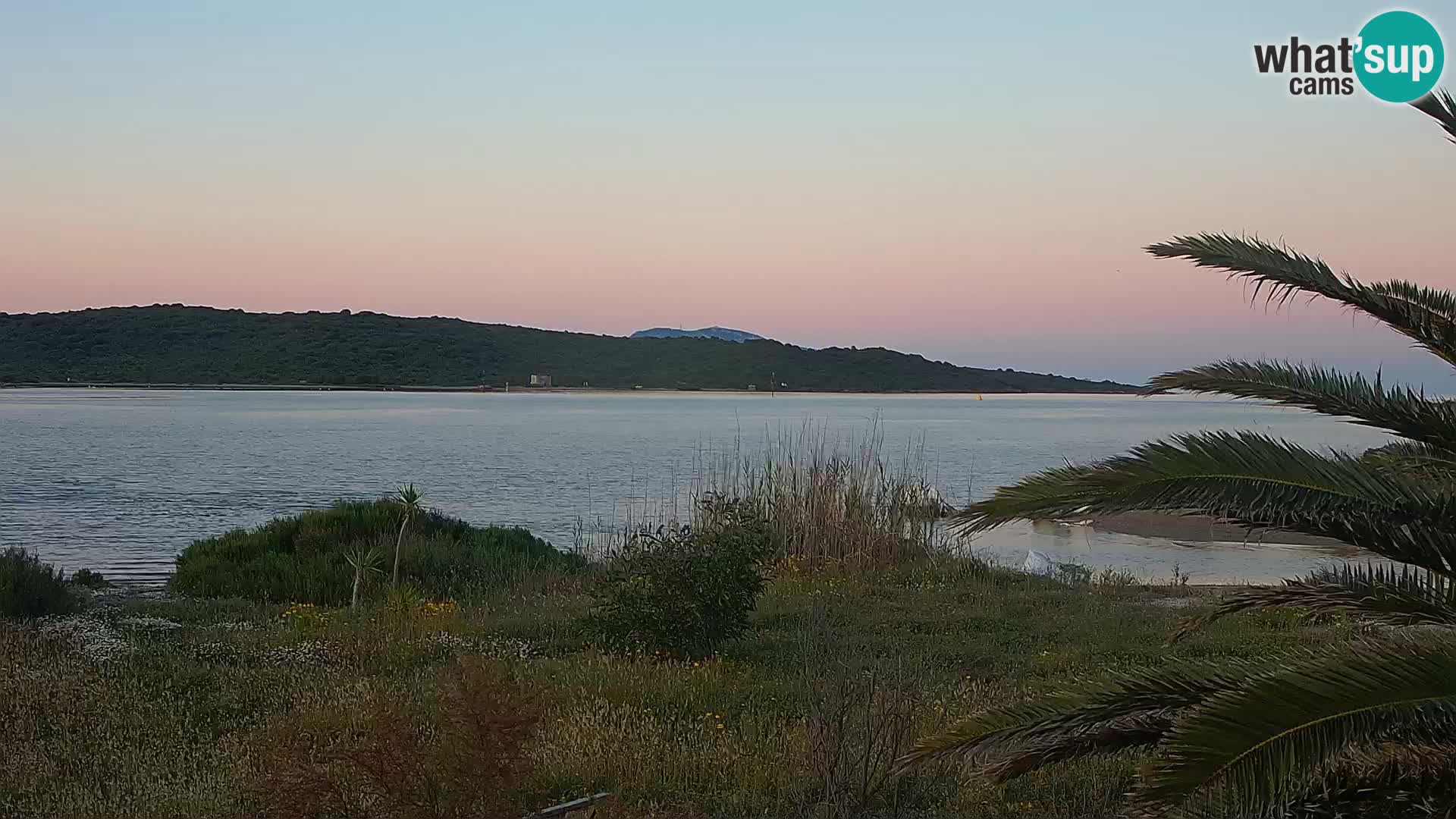 Webcam Olbia port – entrance to the port of Olbia