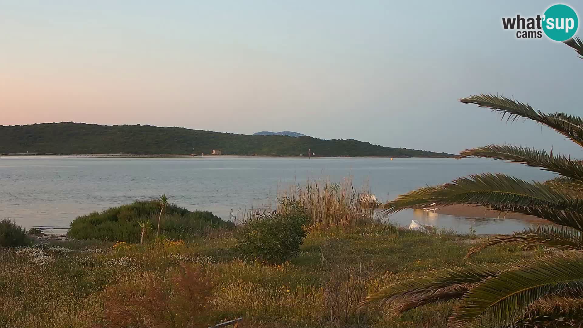 Camera web puerto de Olbia – entrada al puerto de Olbia