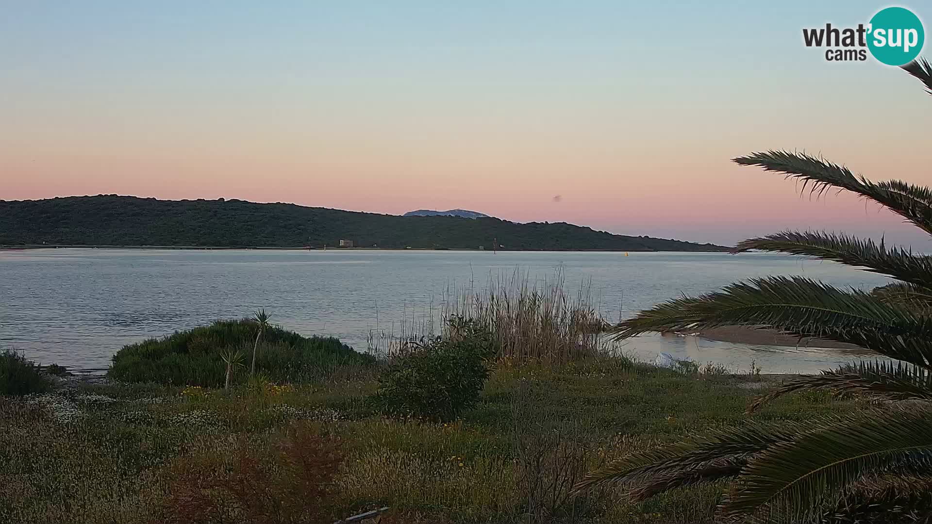 Webcam porto di Olbia – entrata nel porto di Olbia