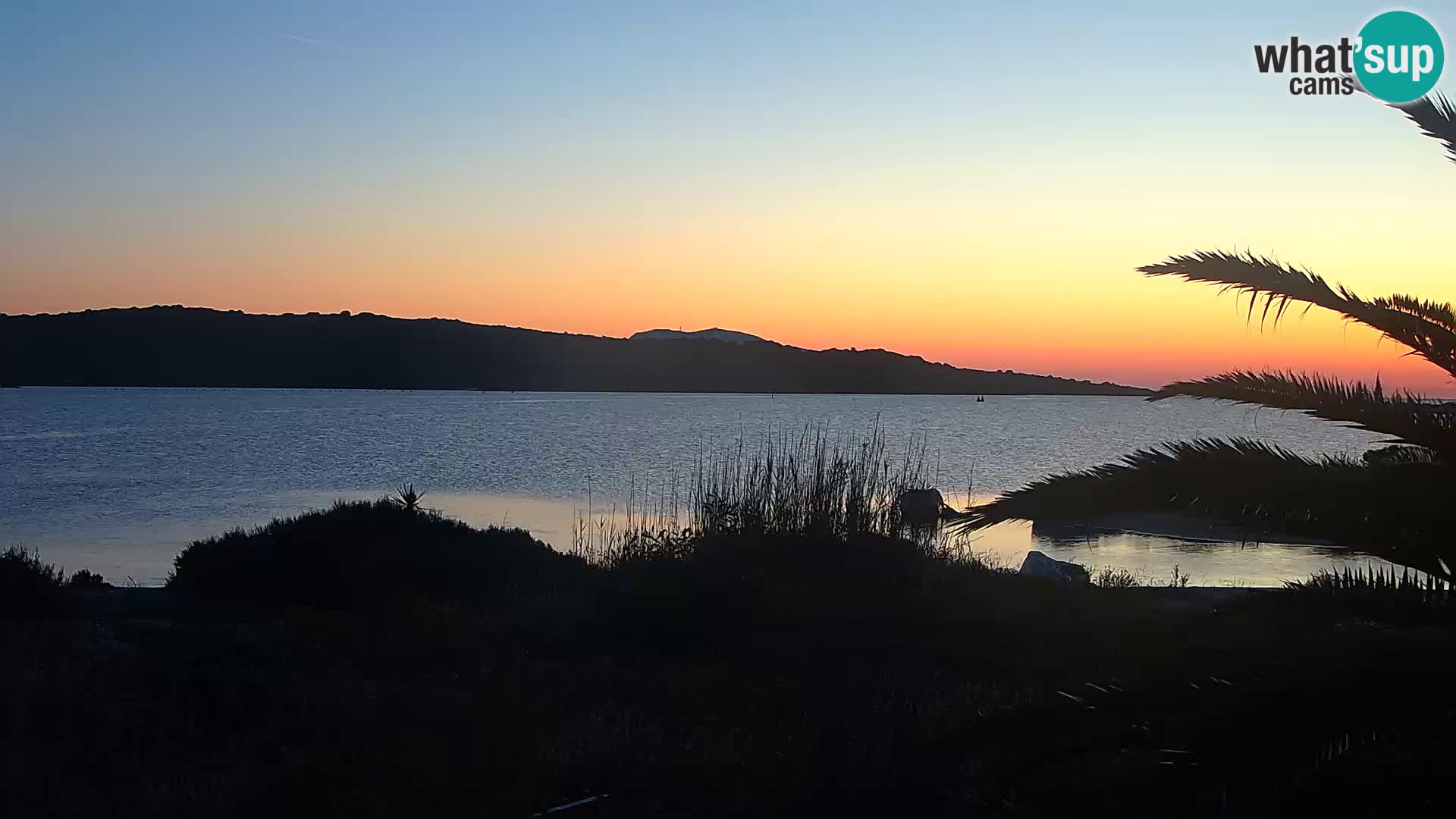 Web kamera Olbia luka – ulaz u luku Olbia