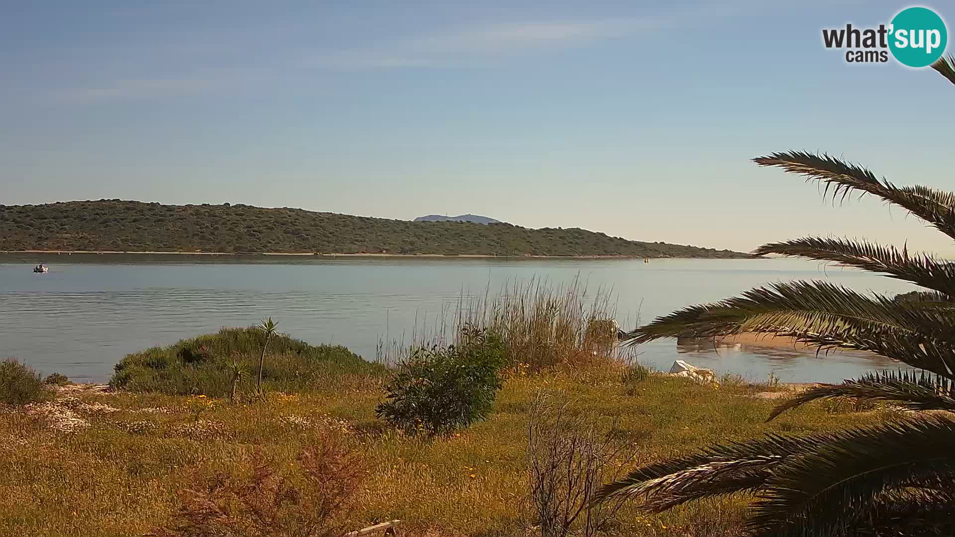 Webcam porto di Olbia – entrata nel porto di Olbia