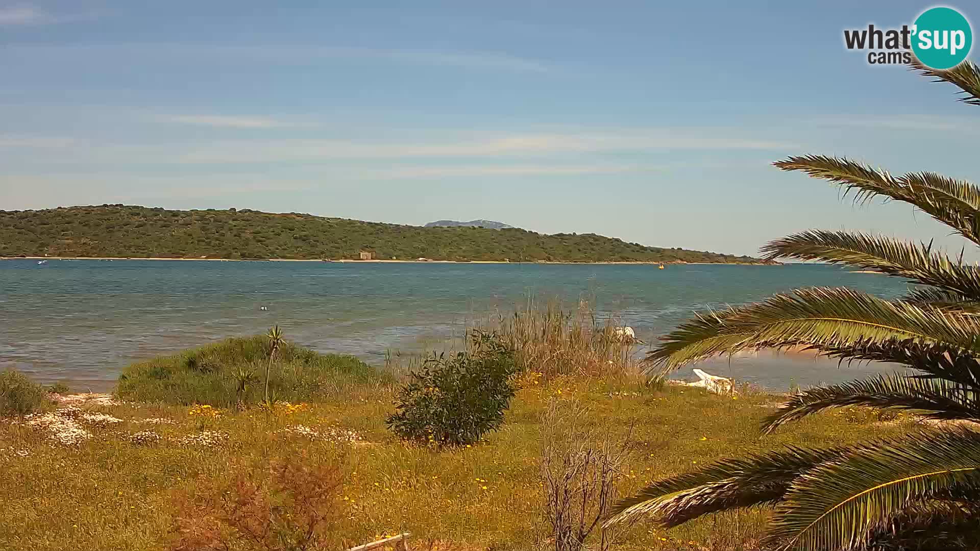 Webcam Hafen Olbia – Eingang zum Hafen von Olbia