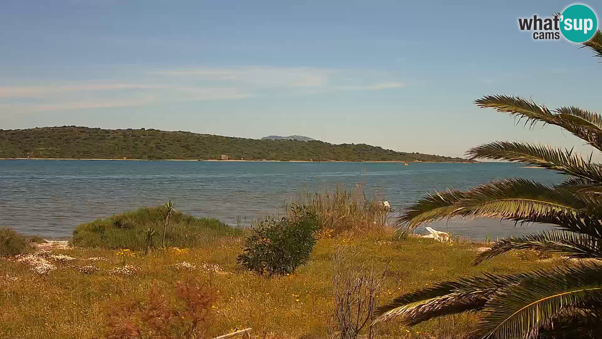 Webcam Hafen Olbia – Eingang zum Hafen von Olbia