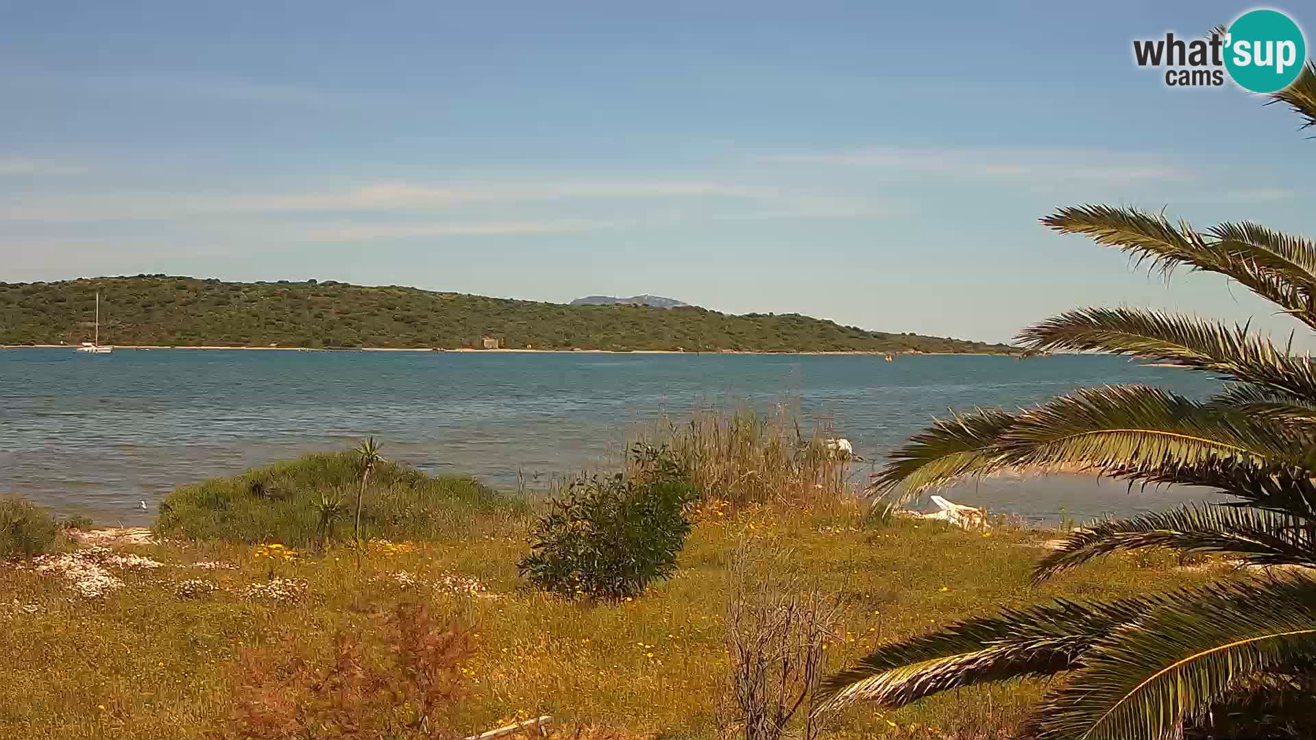 Webcam porto di Olbia – entrata nel porto di Olbia