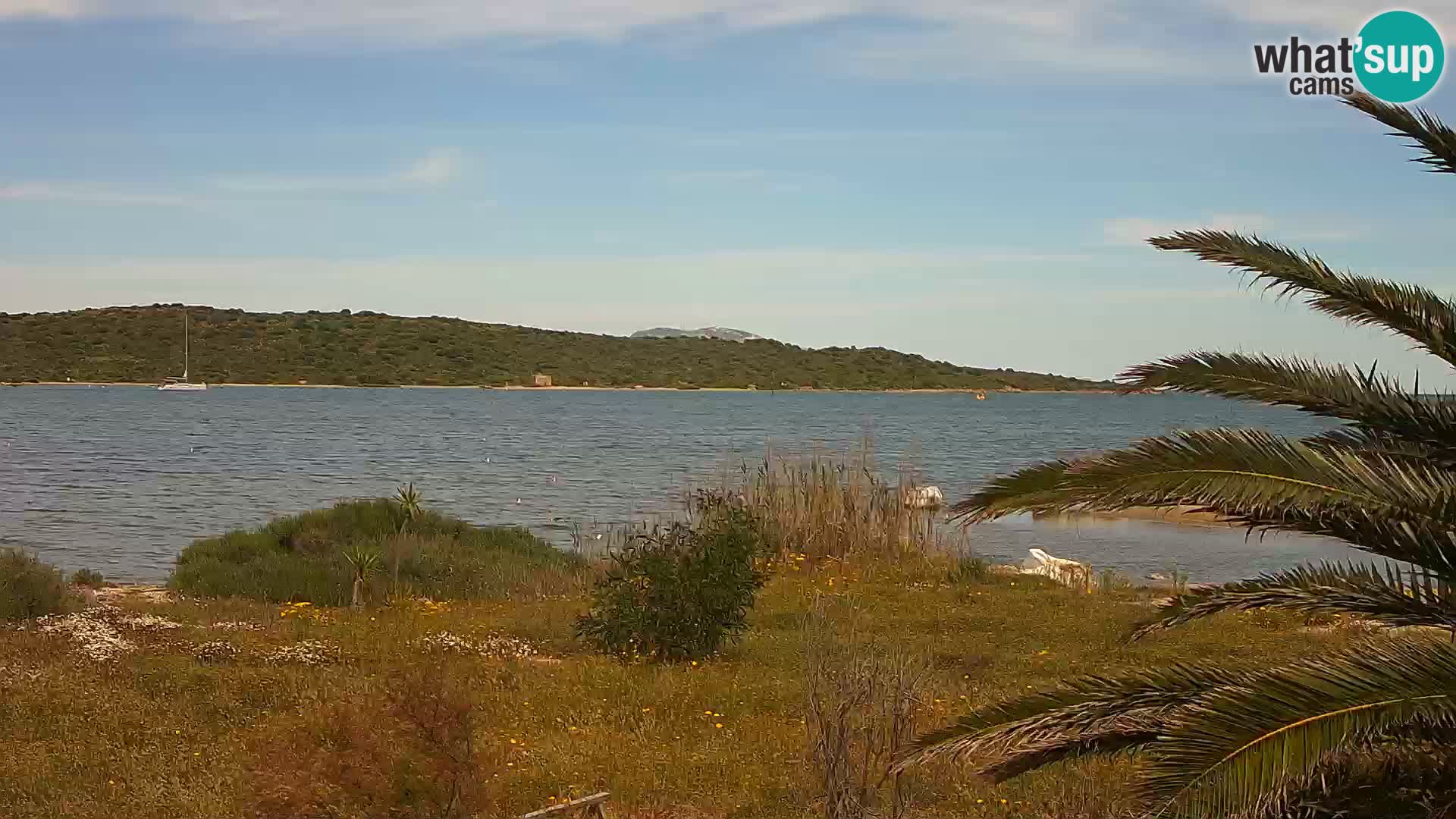 Webcam Olbia port – entrance to the port of Olbia