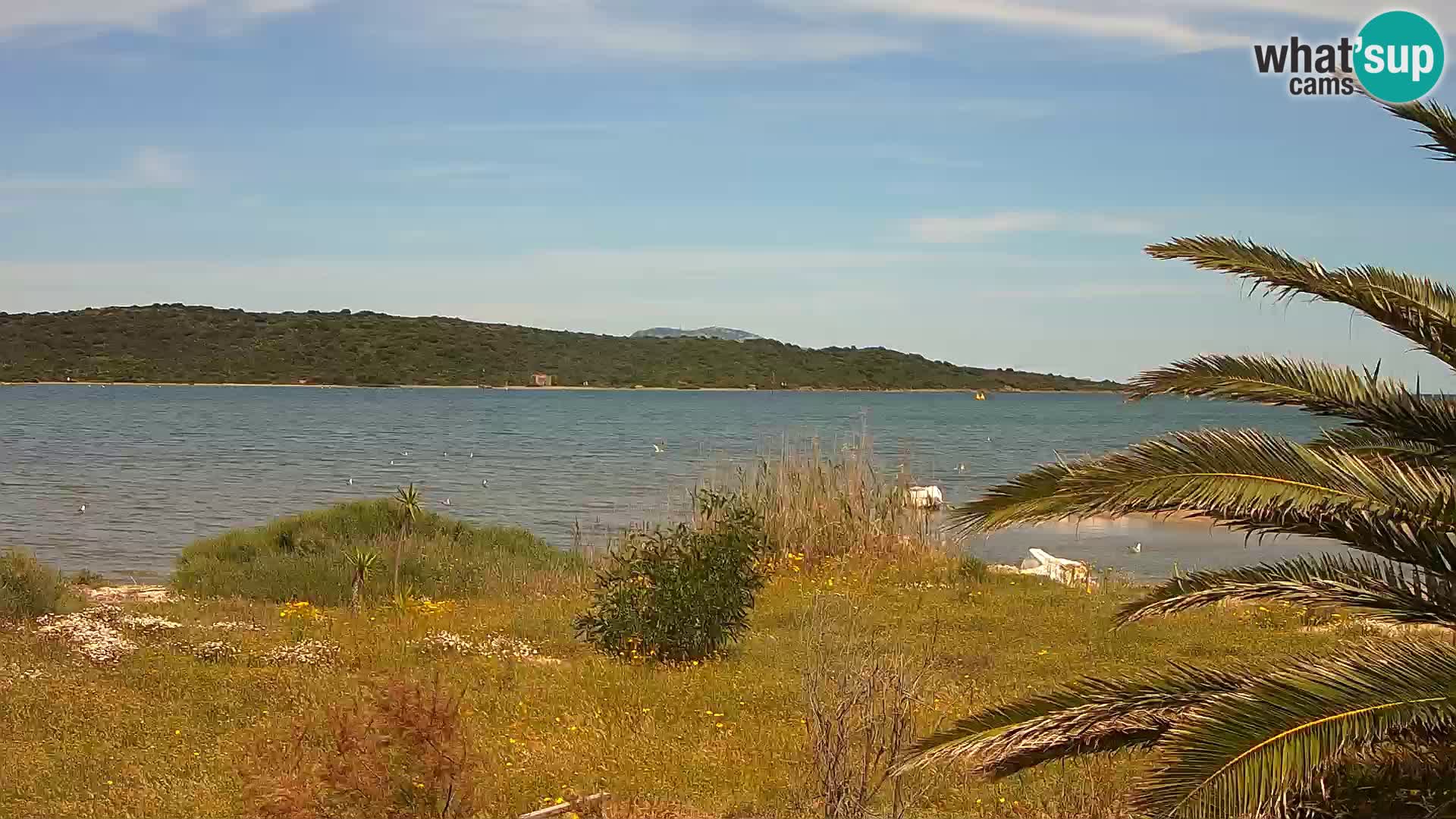 Webcam Olbia port – entrance to the port of Olbia