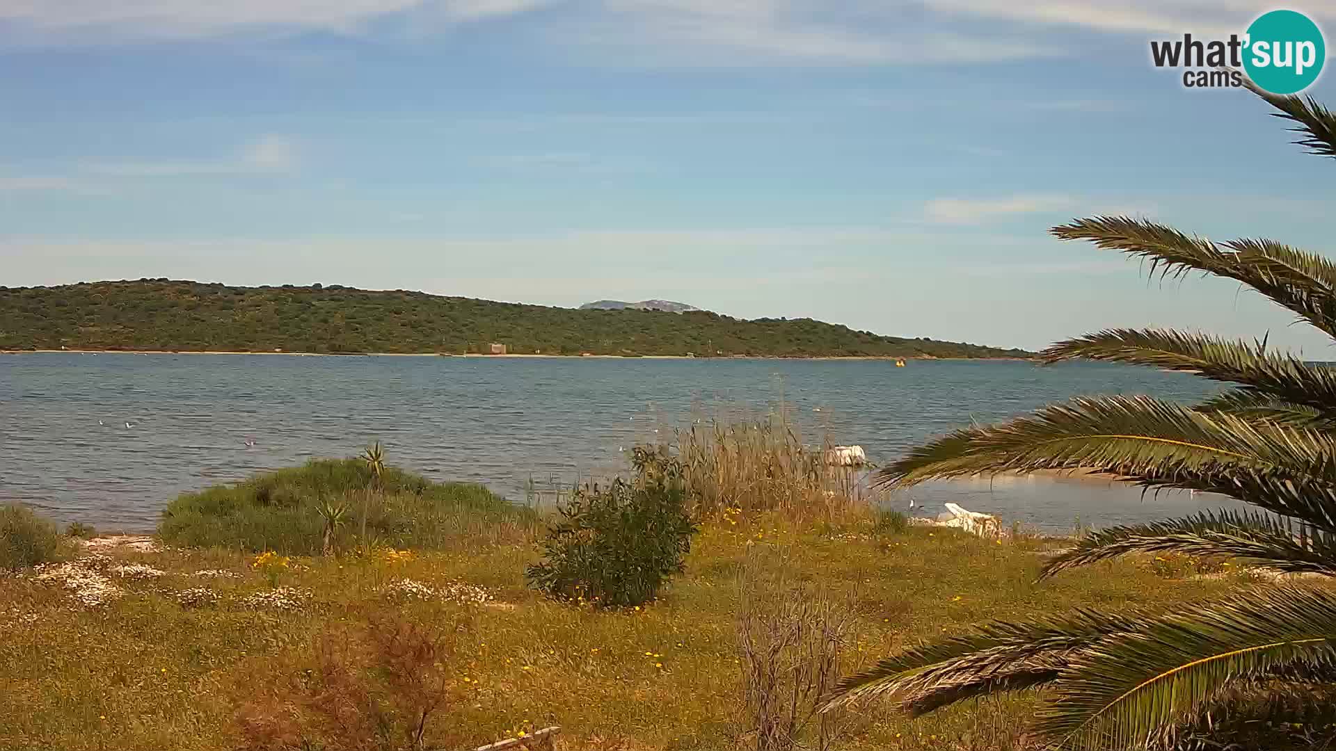 Webcam Olbia port – entrance to the port of Olbia