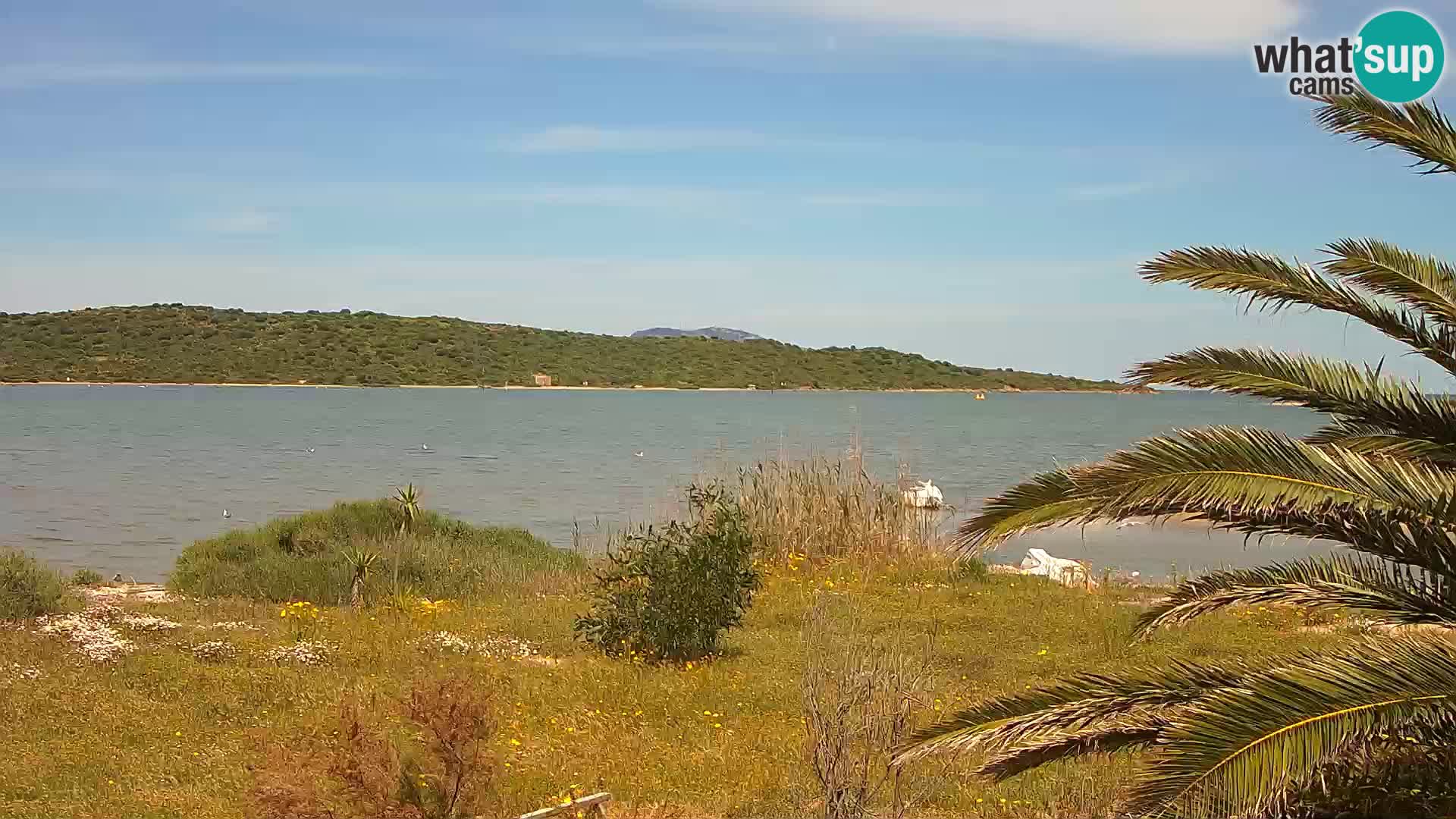 Webcam Olbia port – entrance to the port of Olbia