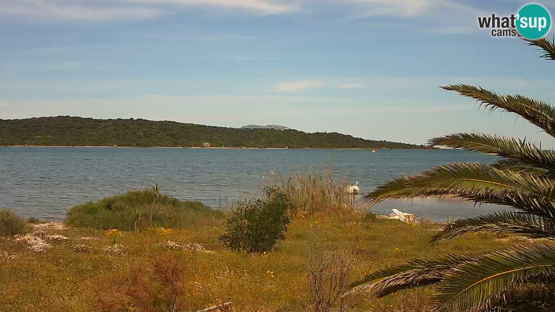 Webcam Olbia port – entrance to the port of Olbia