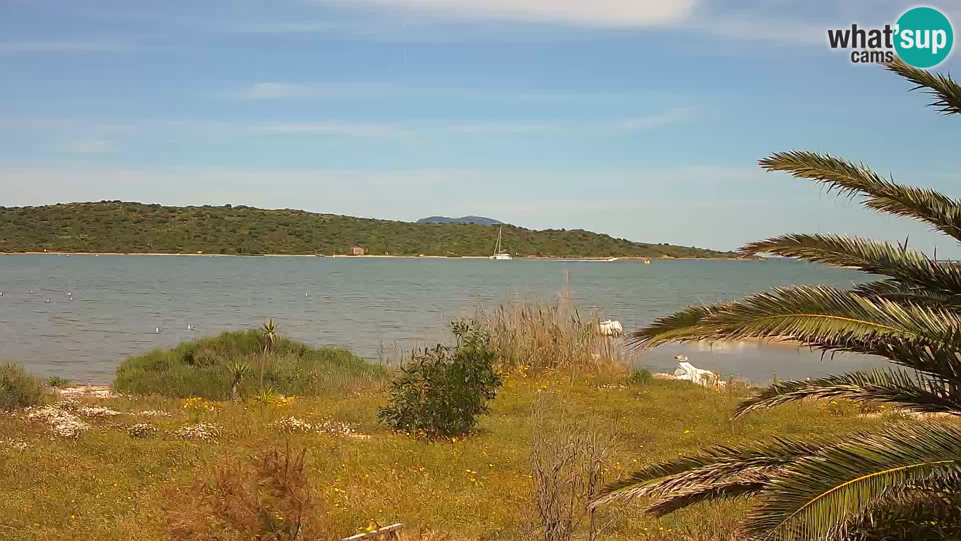 Webcam Hafen Olbia – Eingang zum Hafen von Olbia
