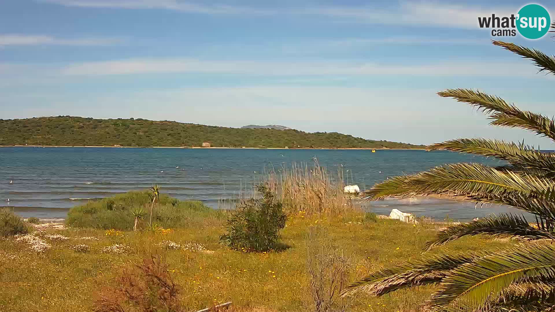 Webcam Hafen Olbia – Eingang zum Hafen von Olbia