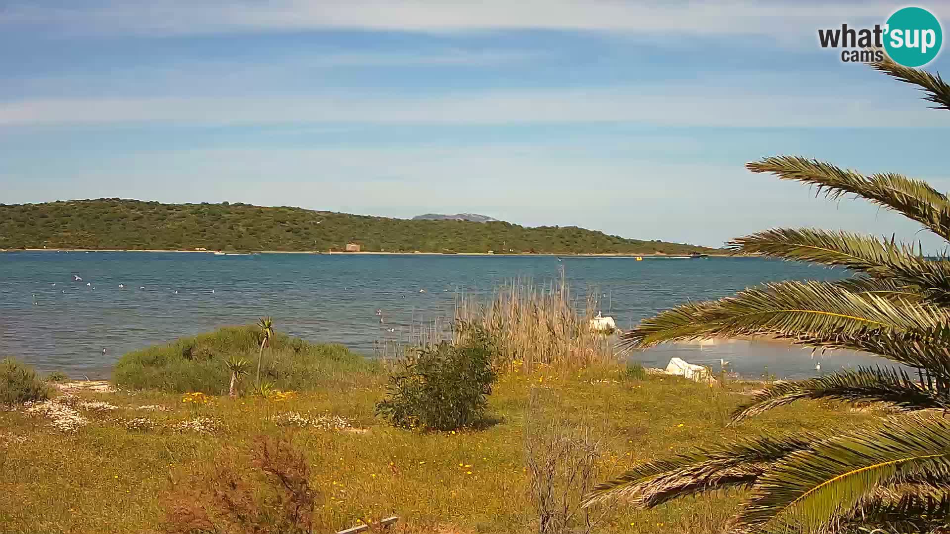 Camera web puerto de Olbia – entrada al puerto de Olbia
