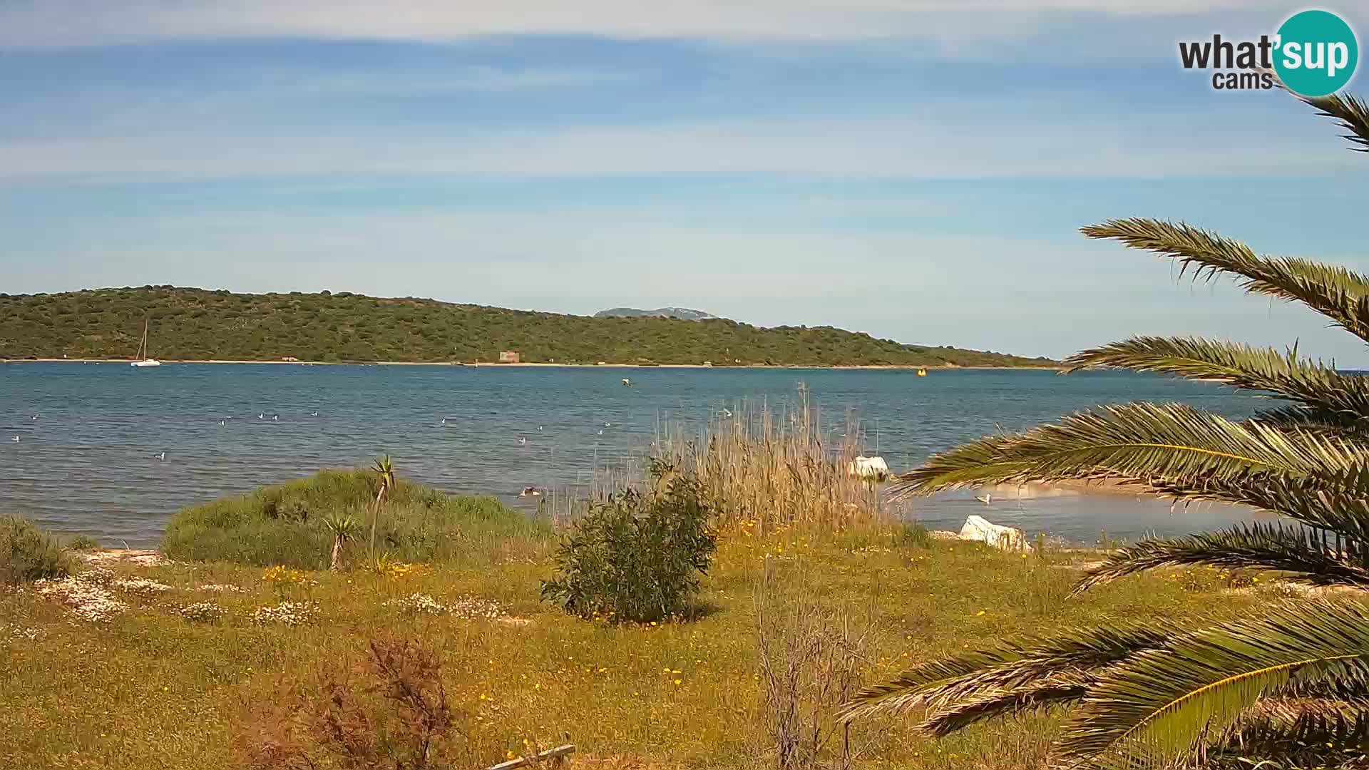 Webcam port d’Olbia – entrée du port d’Olbia