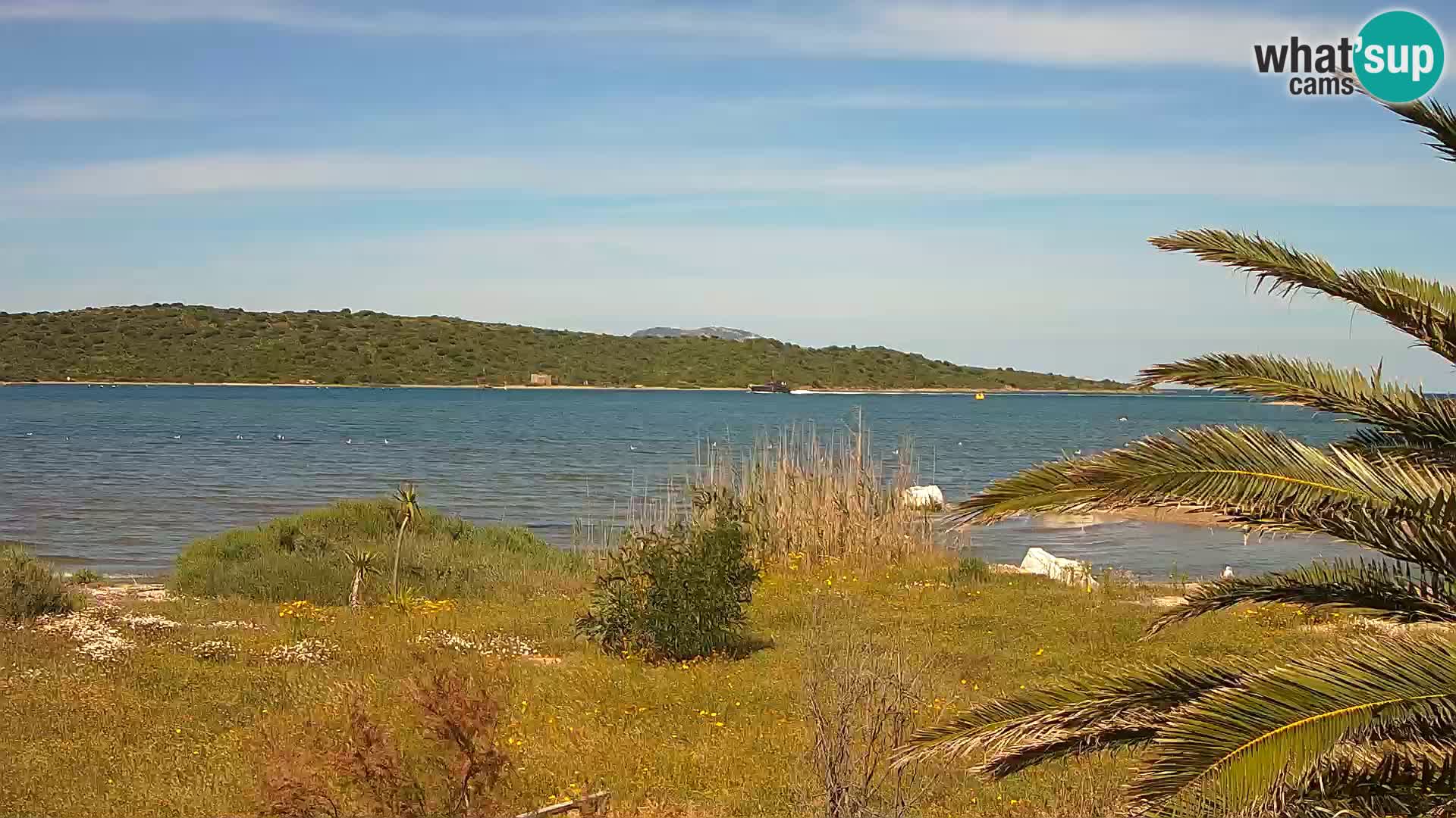 Webcam port d’Olbia – entrée du port d’Olbia