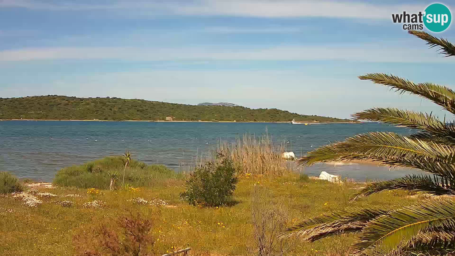 Webcam Olbia port – entrance to the port of Olbia