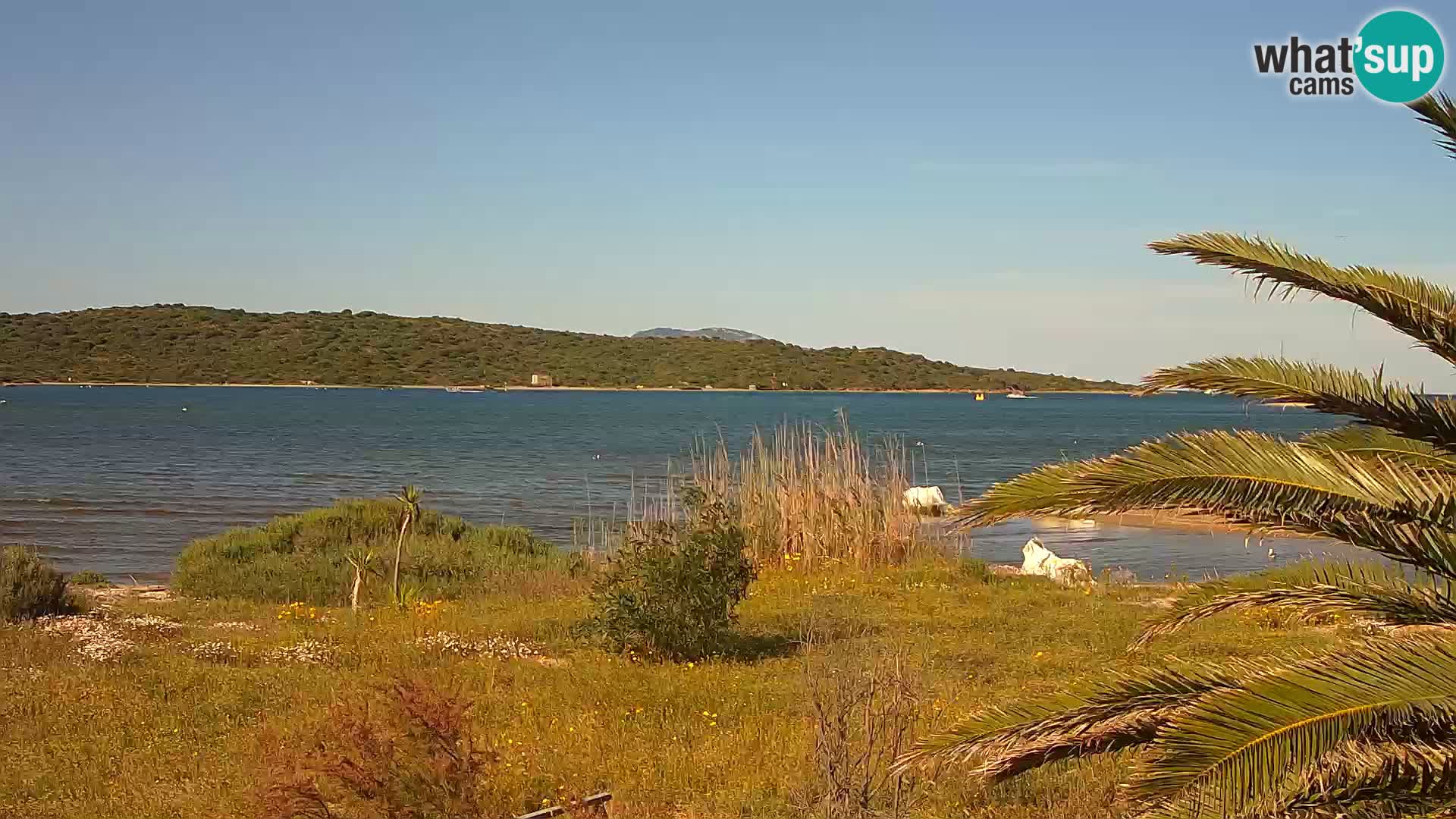 Webcam Olbia port – entrance to the port of Olbia
