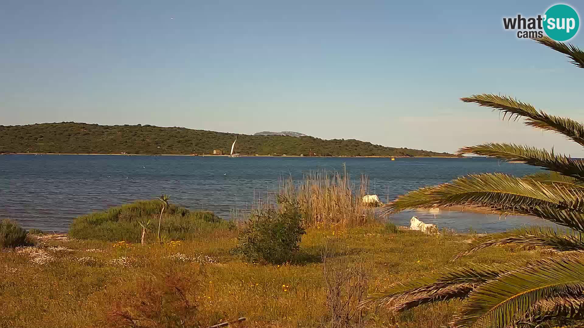 Webcam Olbia port – entrance to the port of Olbia