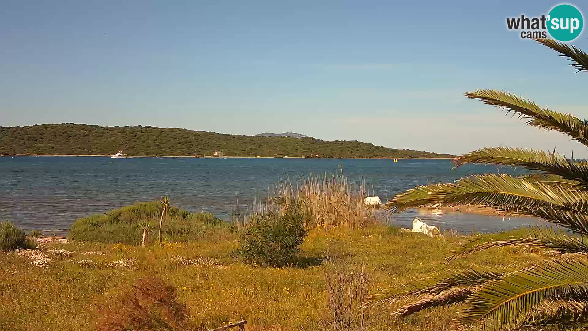 Webcam Olbia port – entrance to the port of Olbia
