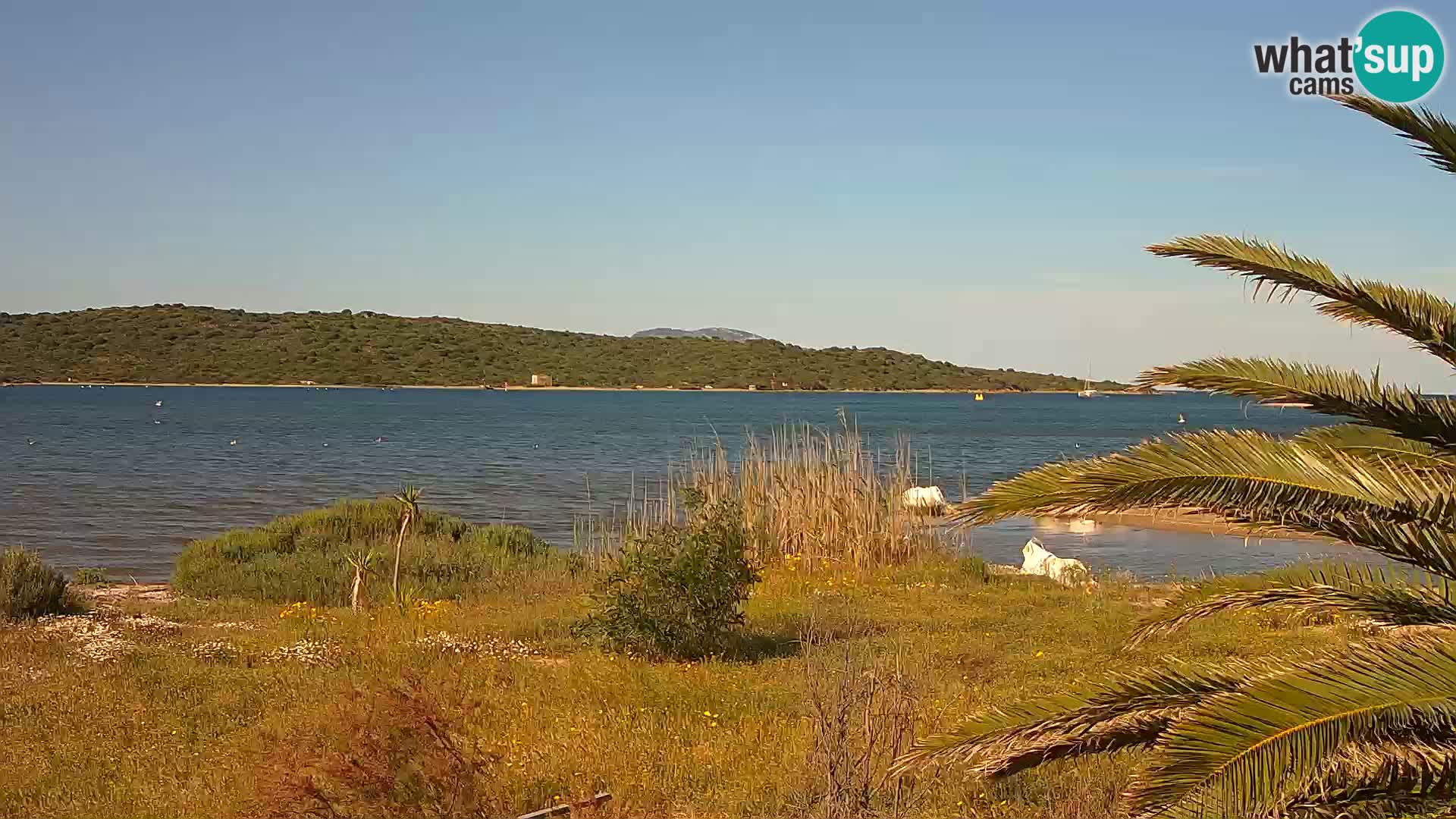 Webcam Olbia port – entrance to the port of Olbia