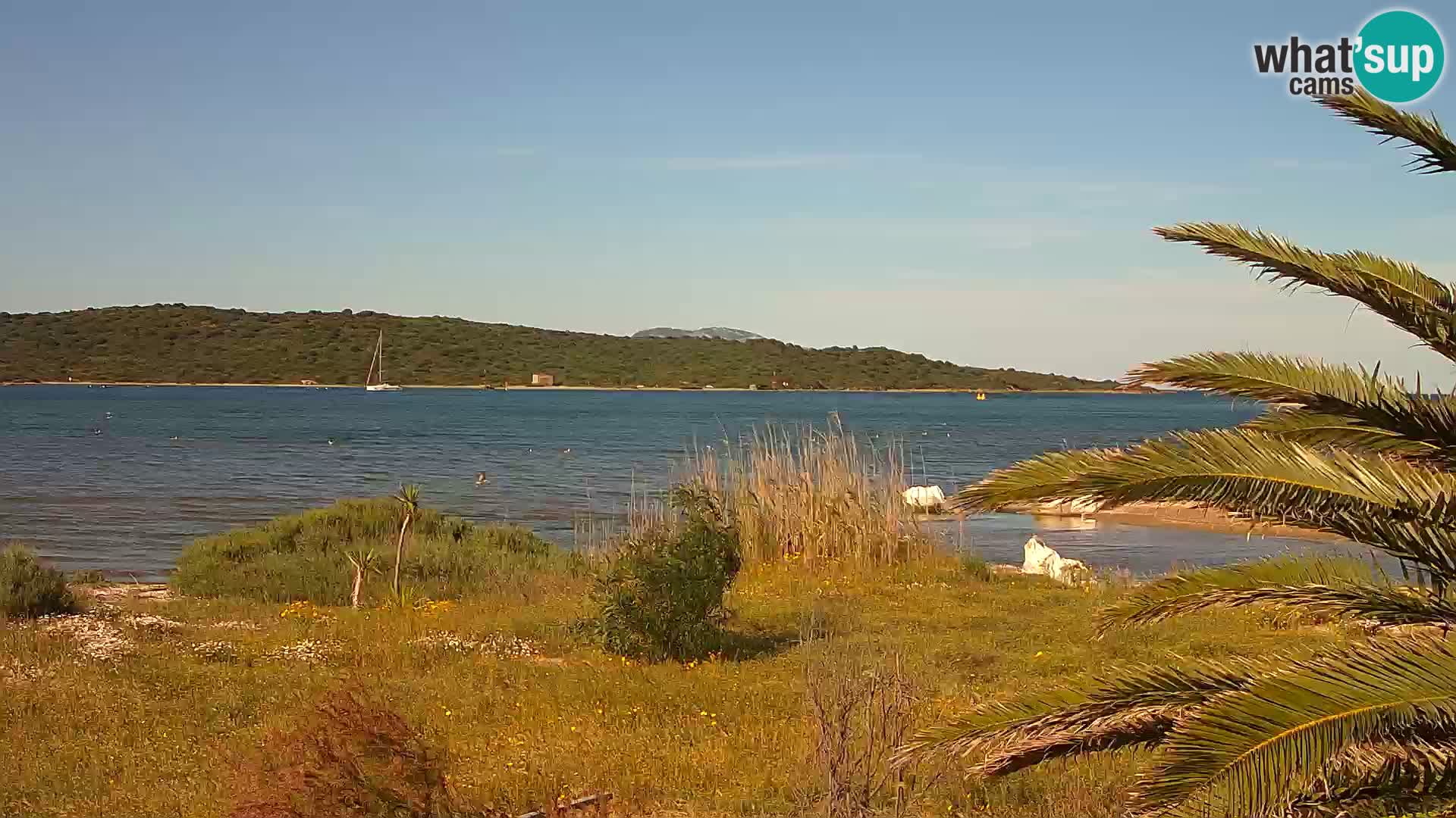 Webcam porto di Olbia – entrata nel porto di Olbia