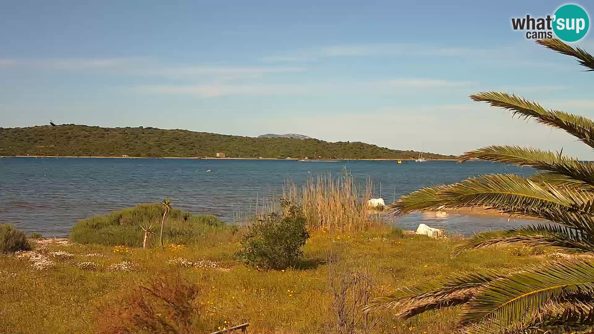 Spletna kamera pristanišče Olbia – vhod v pristanišče Olbia