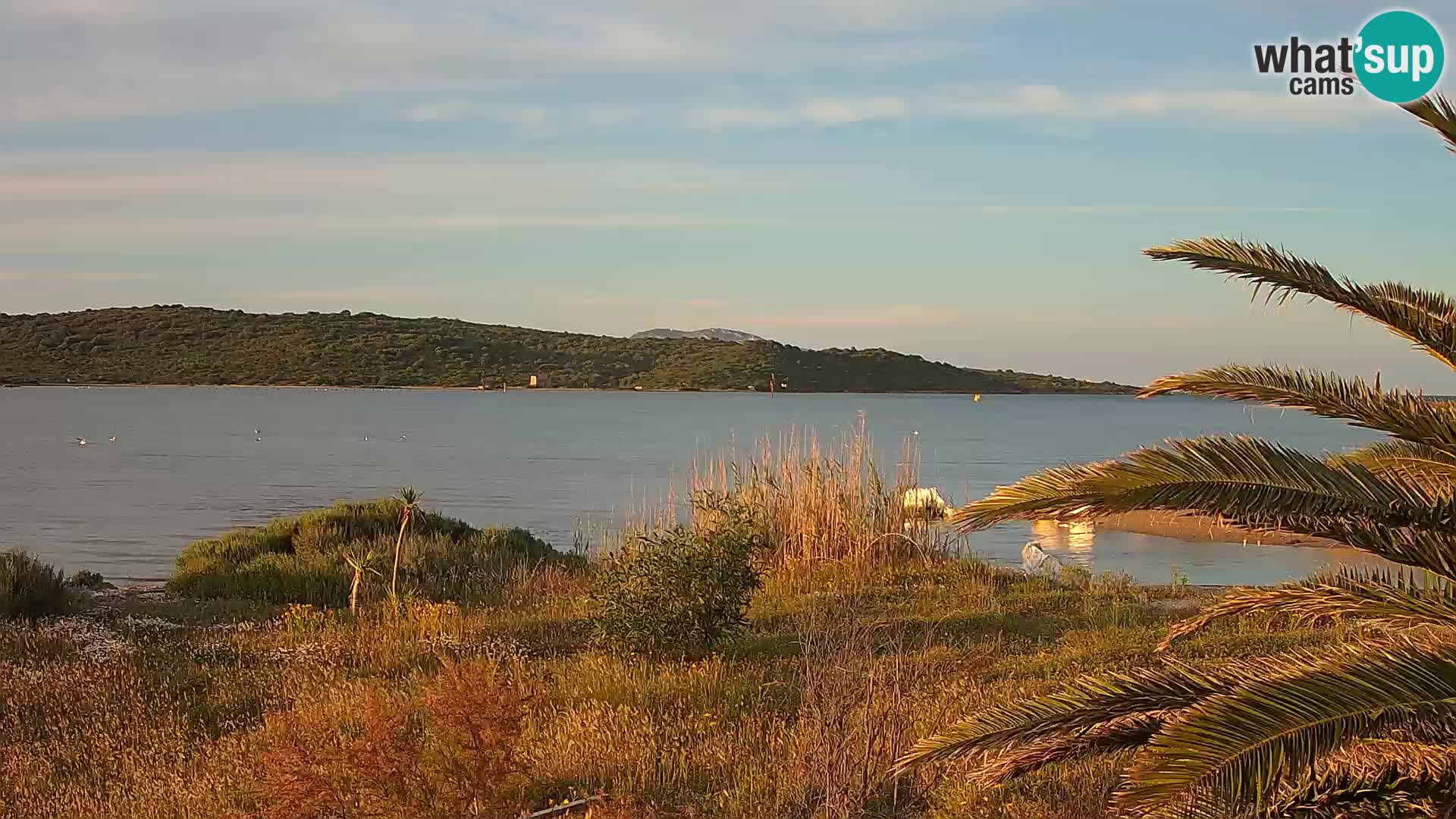 Web kamera Olbia luka – ulaz u luku Olbia