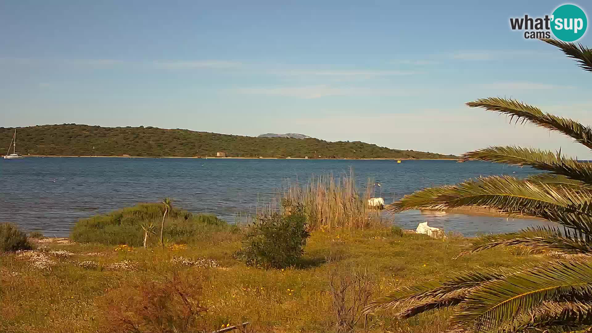 Webcam porto di Olbia – entrata nel porto di Olbia