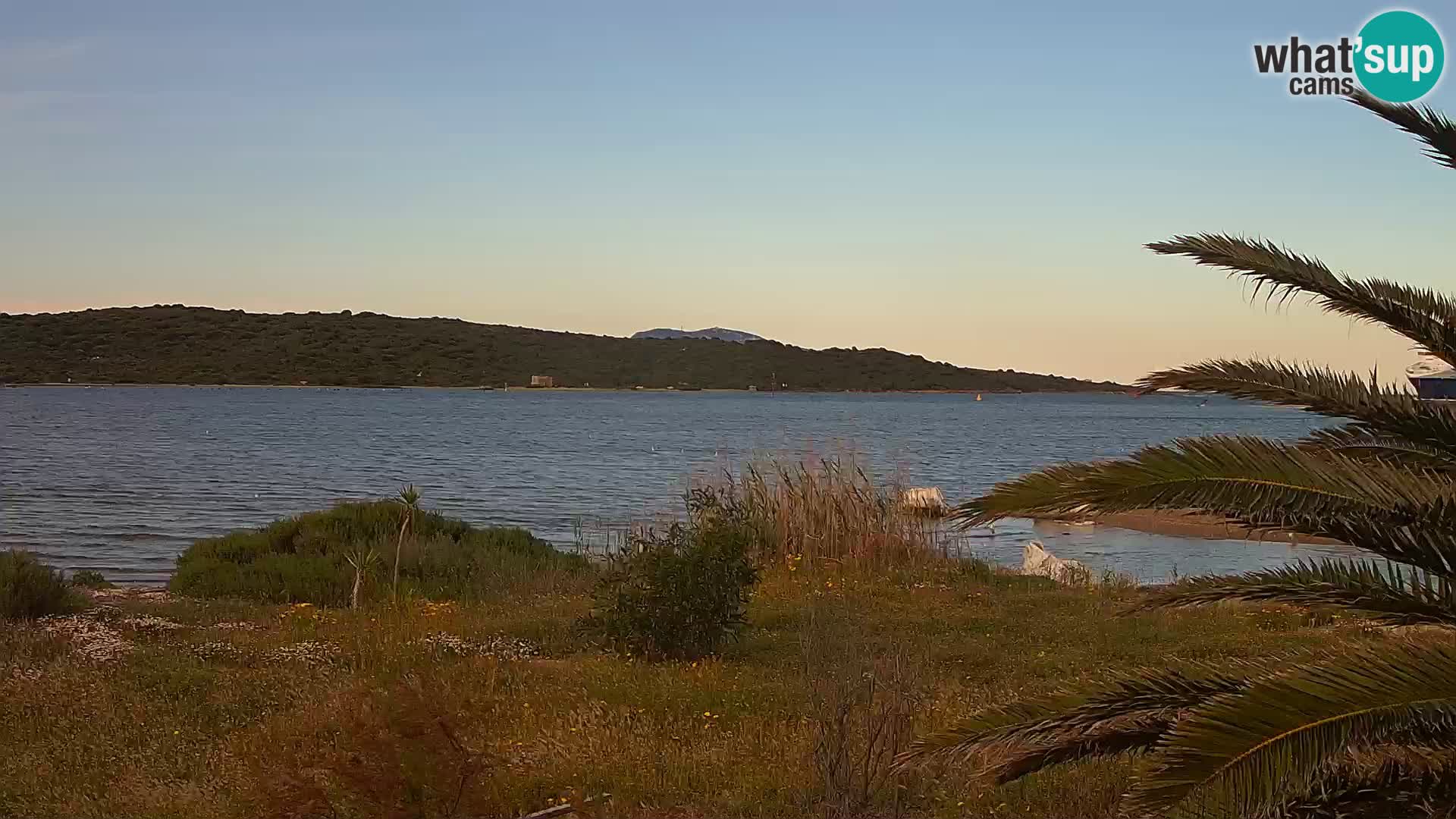 Webcam Hafen Olbia – Eingang zum Hafen von Olbia