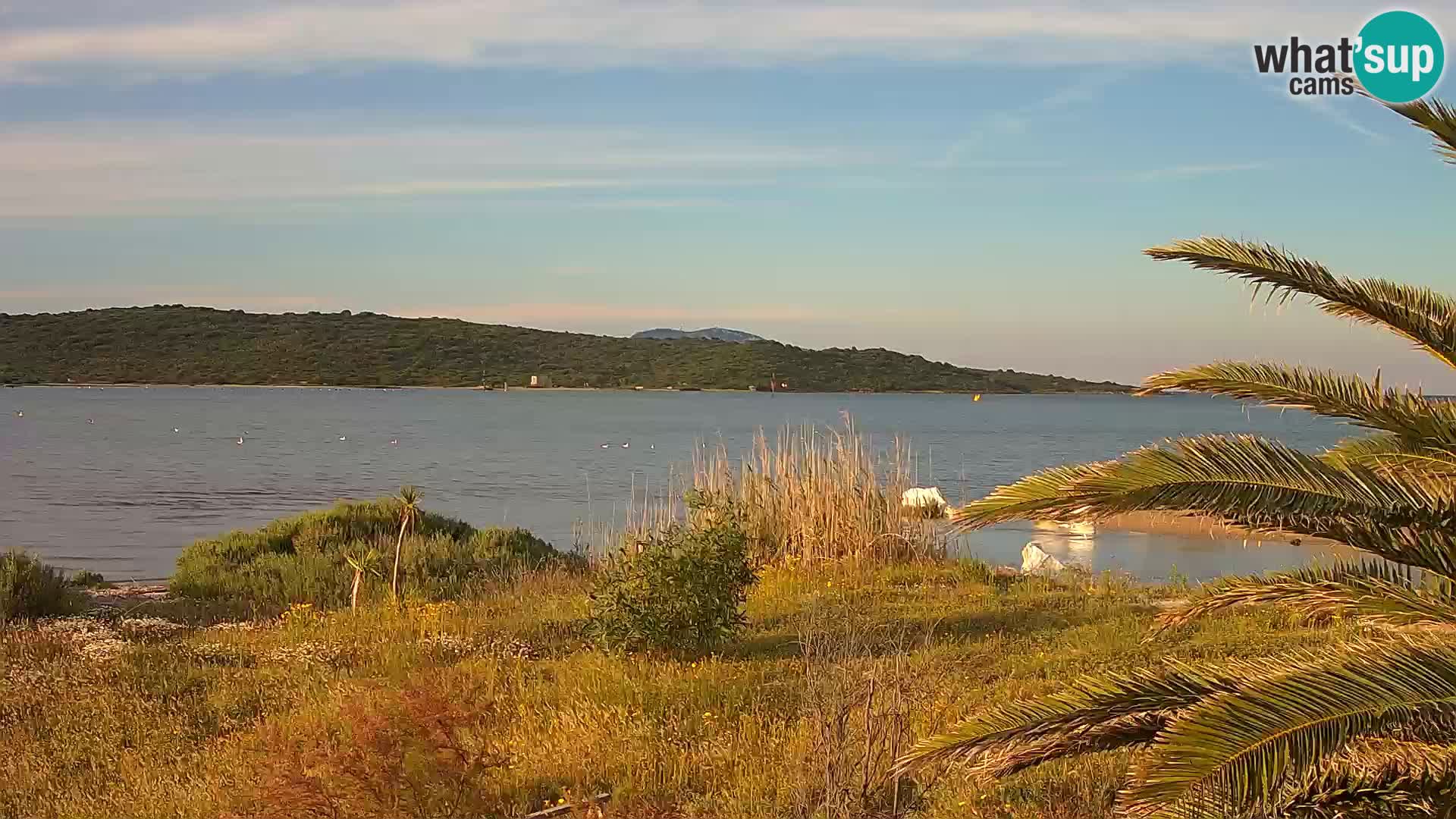Webcam Hafen Olbia – Eingang zum Hafen von Olbia