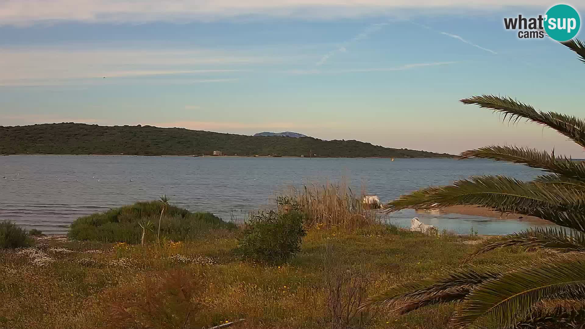 Web kamera Olbia luka – ulaz u luku Olbia