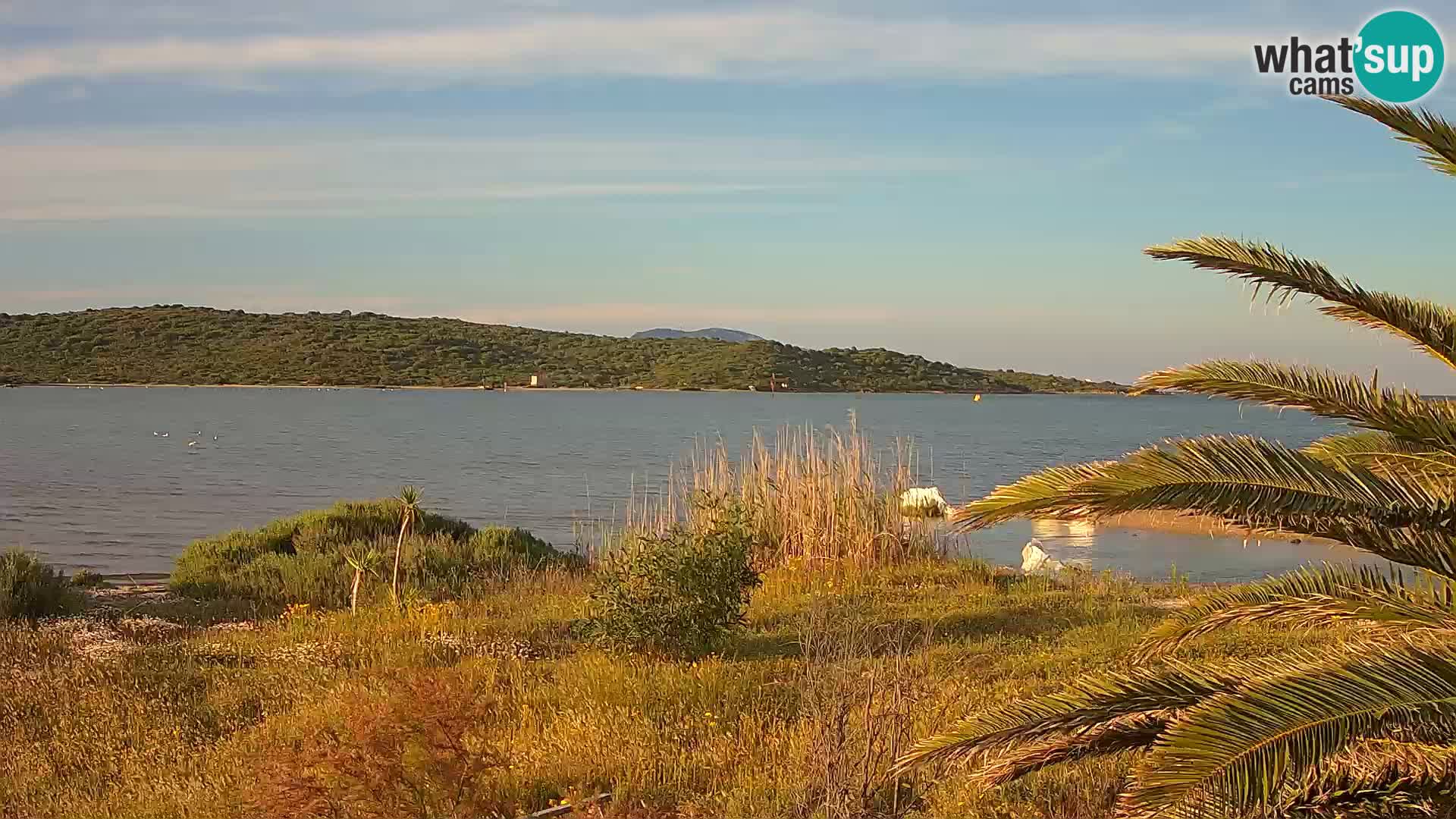 Webcam port d’Olbia – entrée du port d’Olbia