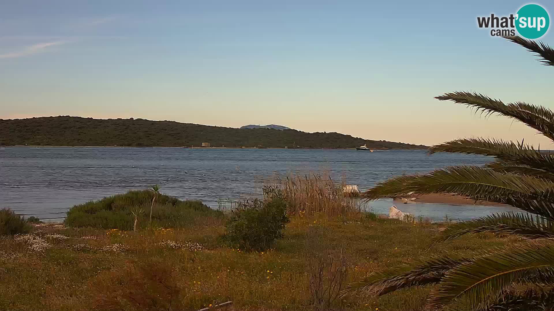 Webcam Olbia port – entrance to the port of Olbia