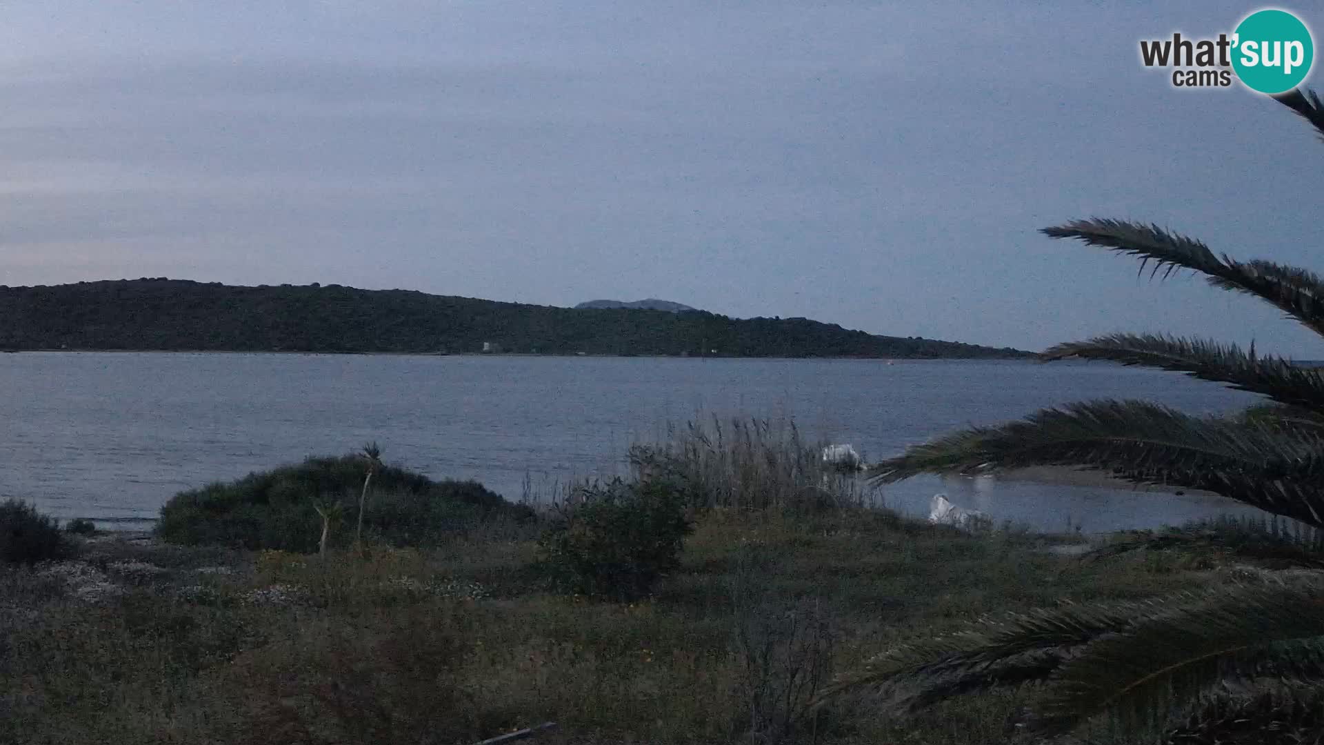 Webcam port d’Olbia – entrée du port d’Olbia