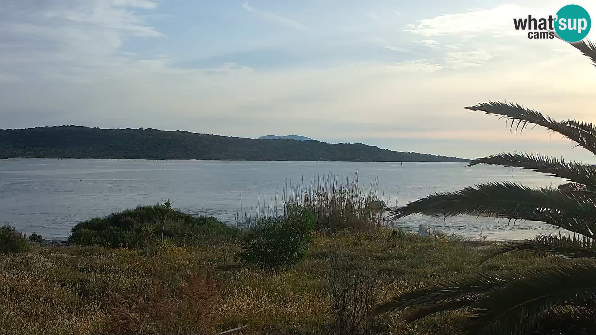 Webcam porto di Olbia – entrata nel porto di Olbia