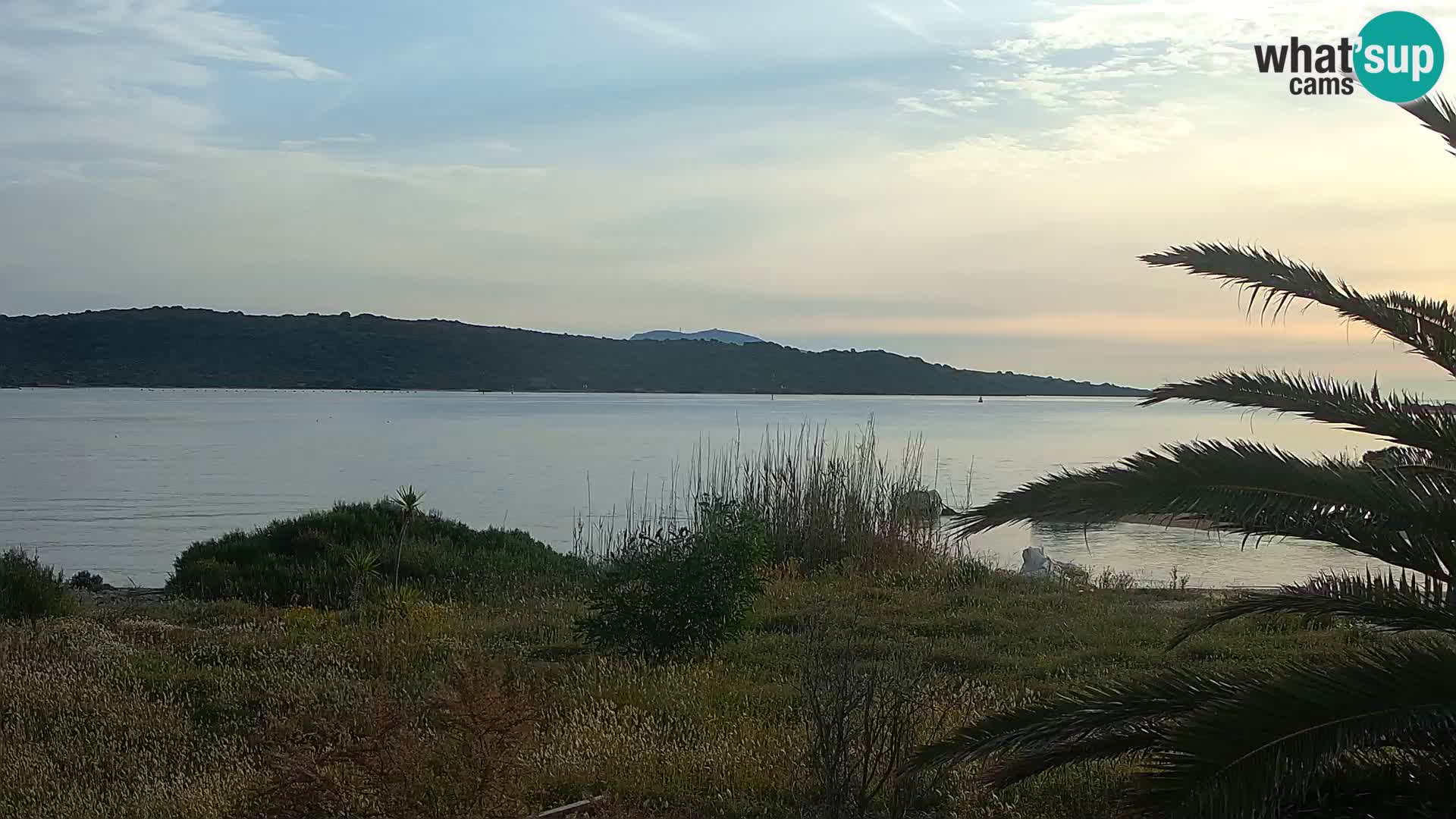 Webcam Hafen Olbia – Eingang zum Hafen von Olbia