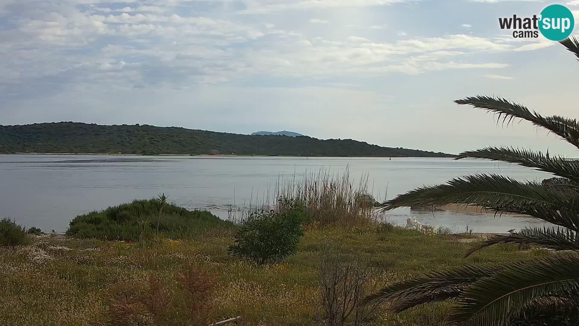 Webcam port d’Olbia – entrée du port d’Olbia