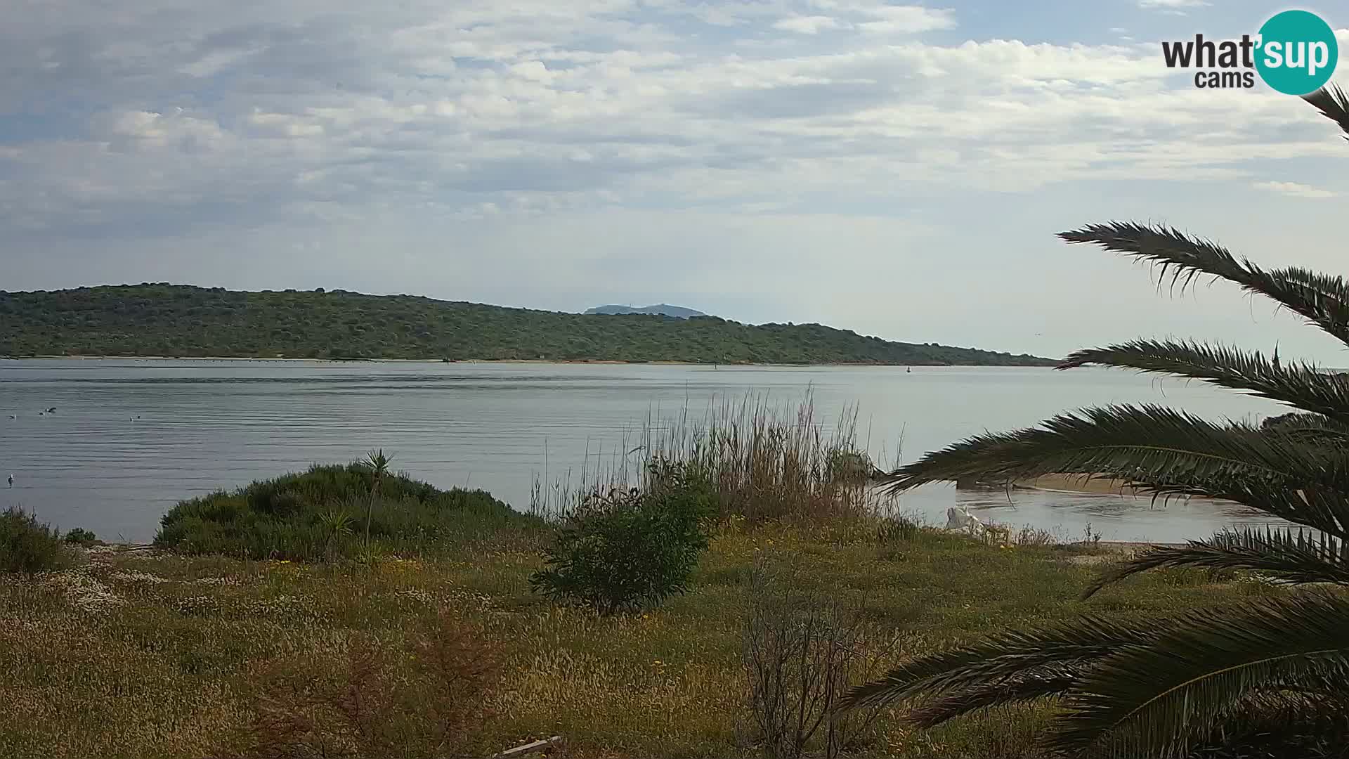 Webcam Hafen Olbia – Eingang zum Hafen von Olbia