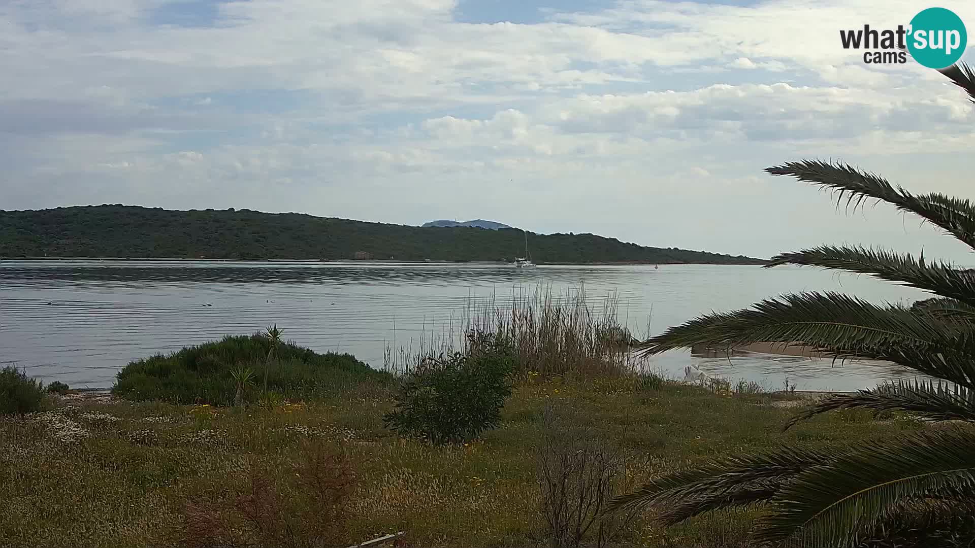 Webcam Olbia port – entrance to the port of Olbia