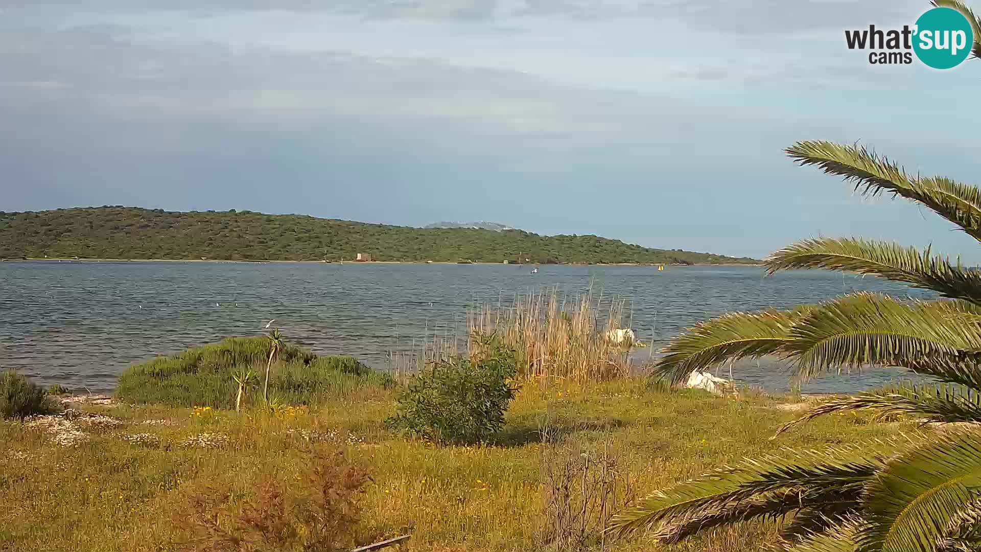 Webcam Olbia port – entrance to the port of Olbia