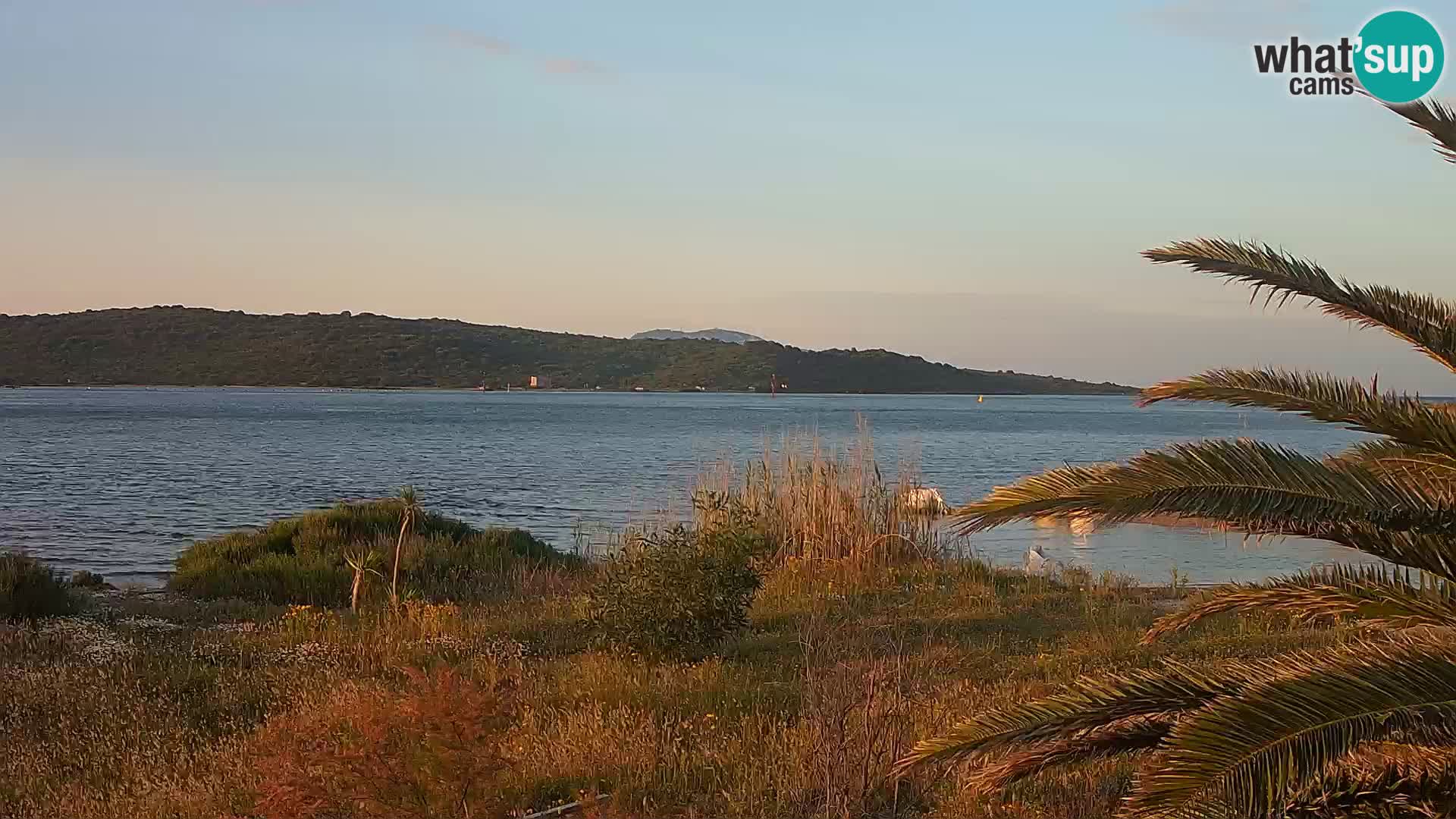 Webcam Hafen Olbia – Eingang zum Hafen von Olbia