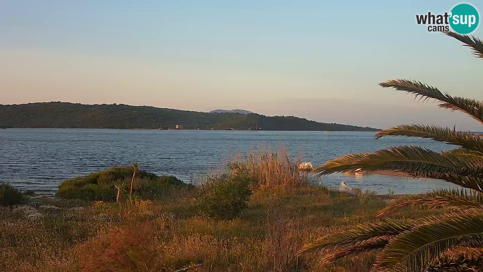 Webcam Olbia port – entrance to the port of Olbia