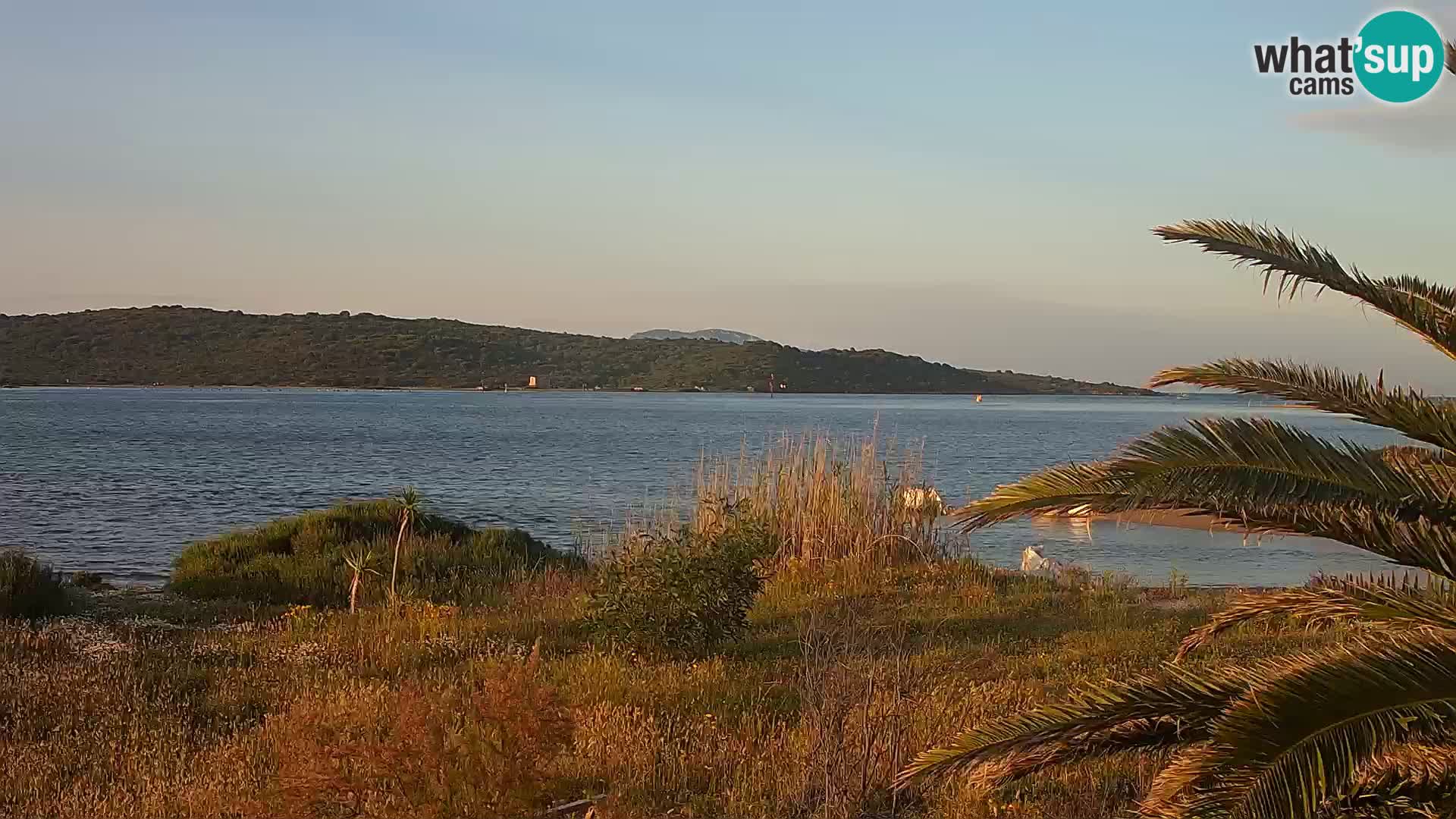 Webcam Olbia port – entrance to the port of Olbia