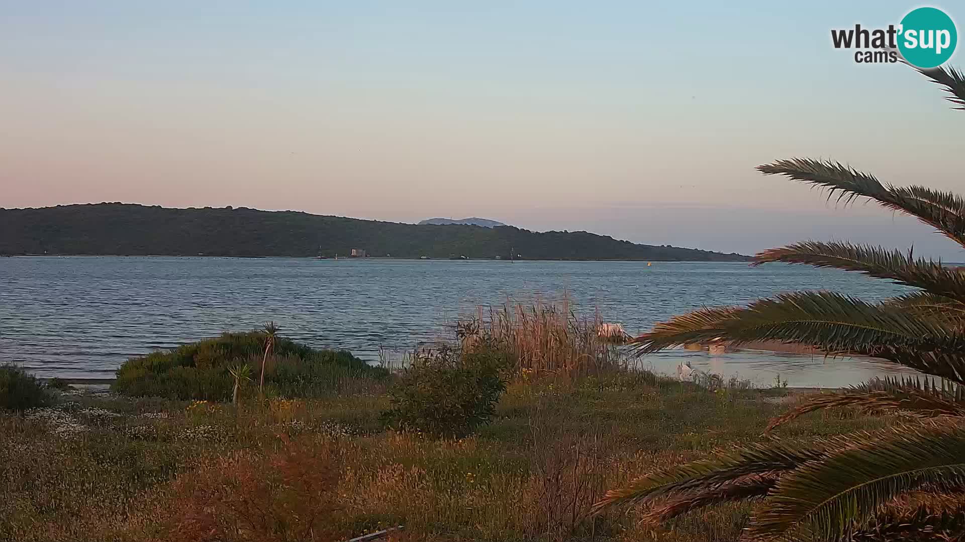 Webcam Olbia port – entrance to the port of Olbia