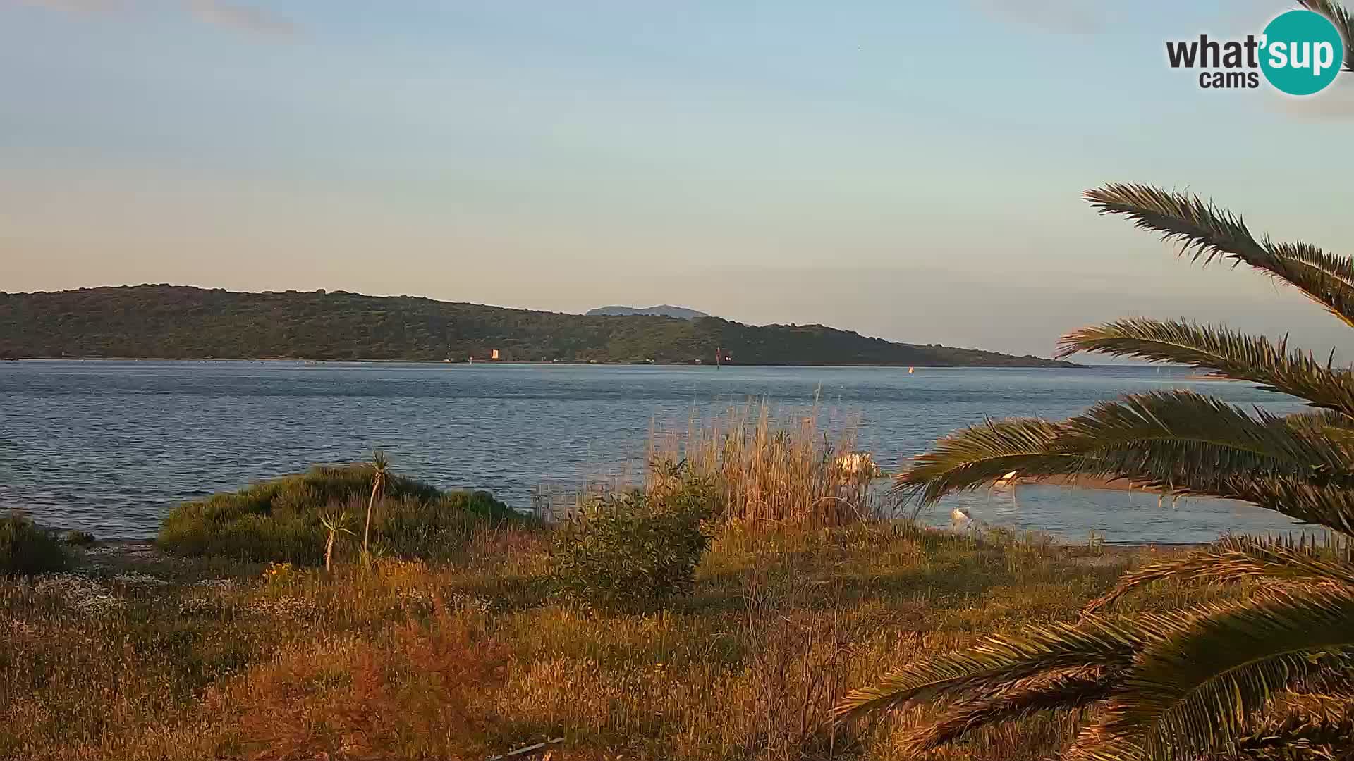 Camera web puerto de Olbia – entrada al puerto de Olbia
