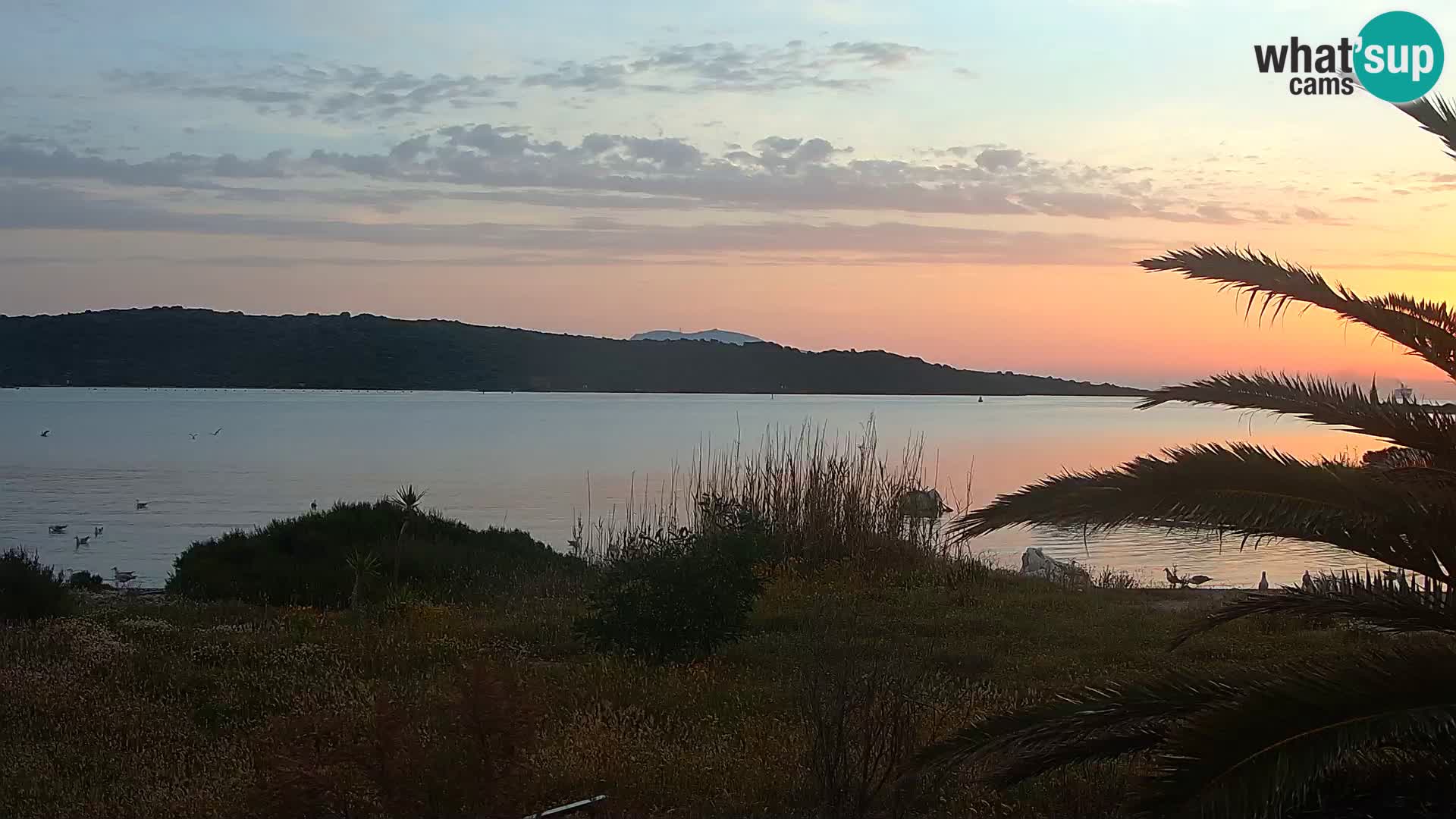Webcam Hafen Olbia – Eingang zum Hafen von Olbia