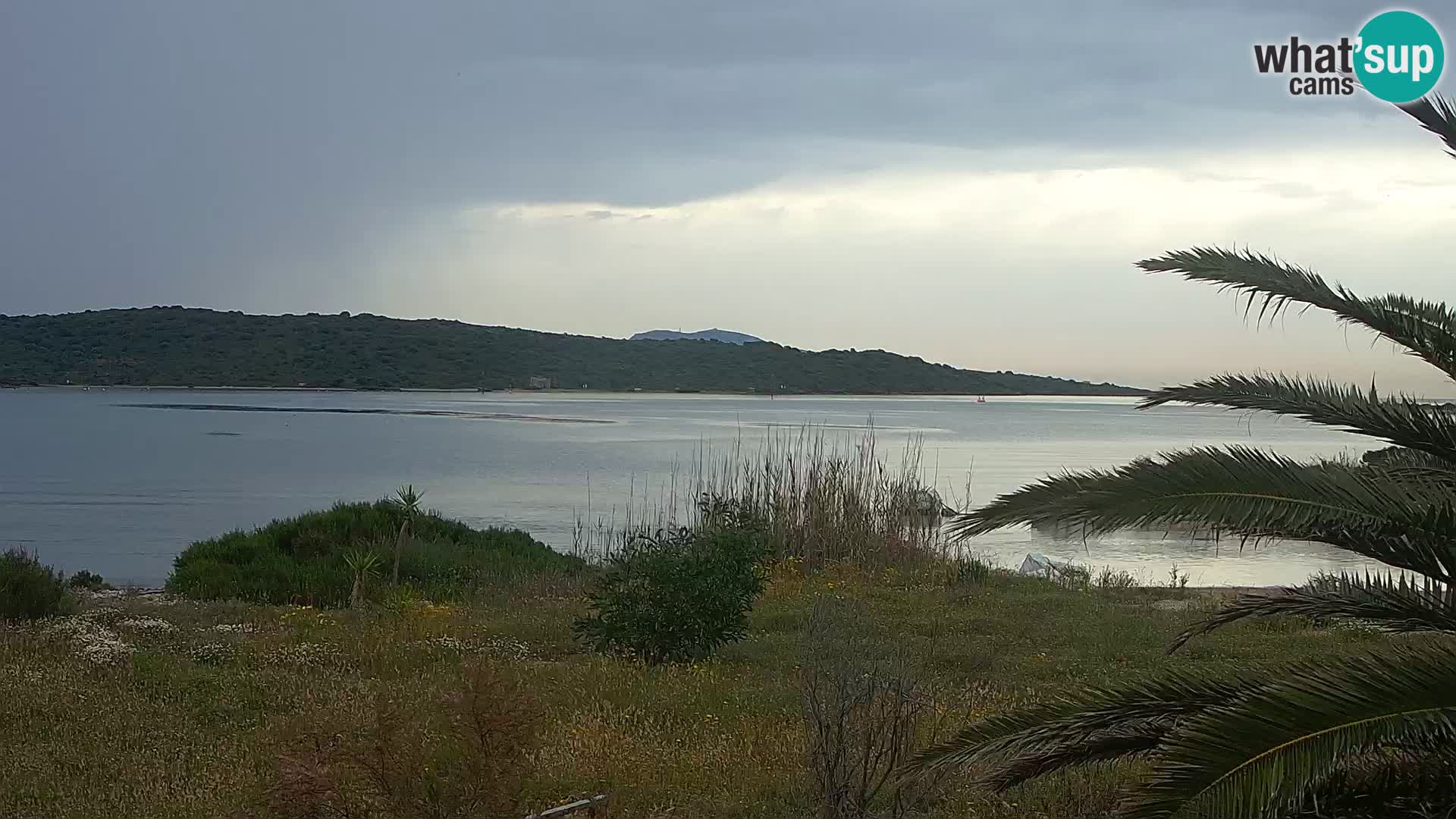 Webcam Hafen Olbia – Eingang zum Hafen von Olbia