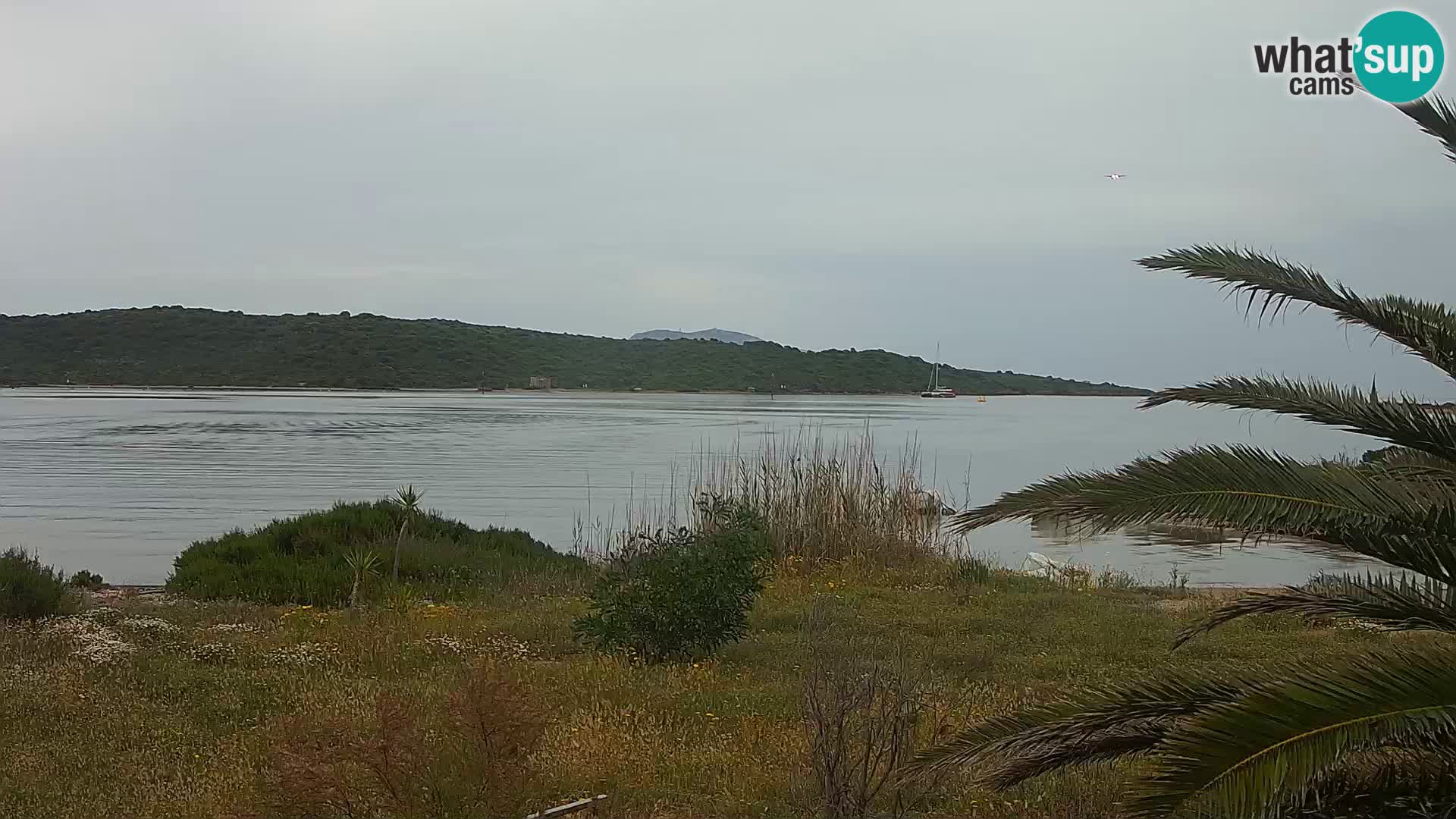 Webcam port d’Olbia – entrée du port d’Olbia