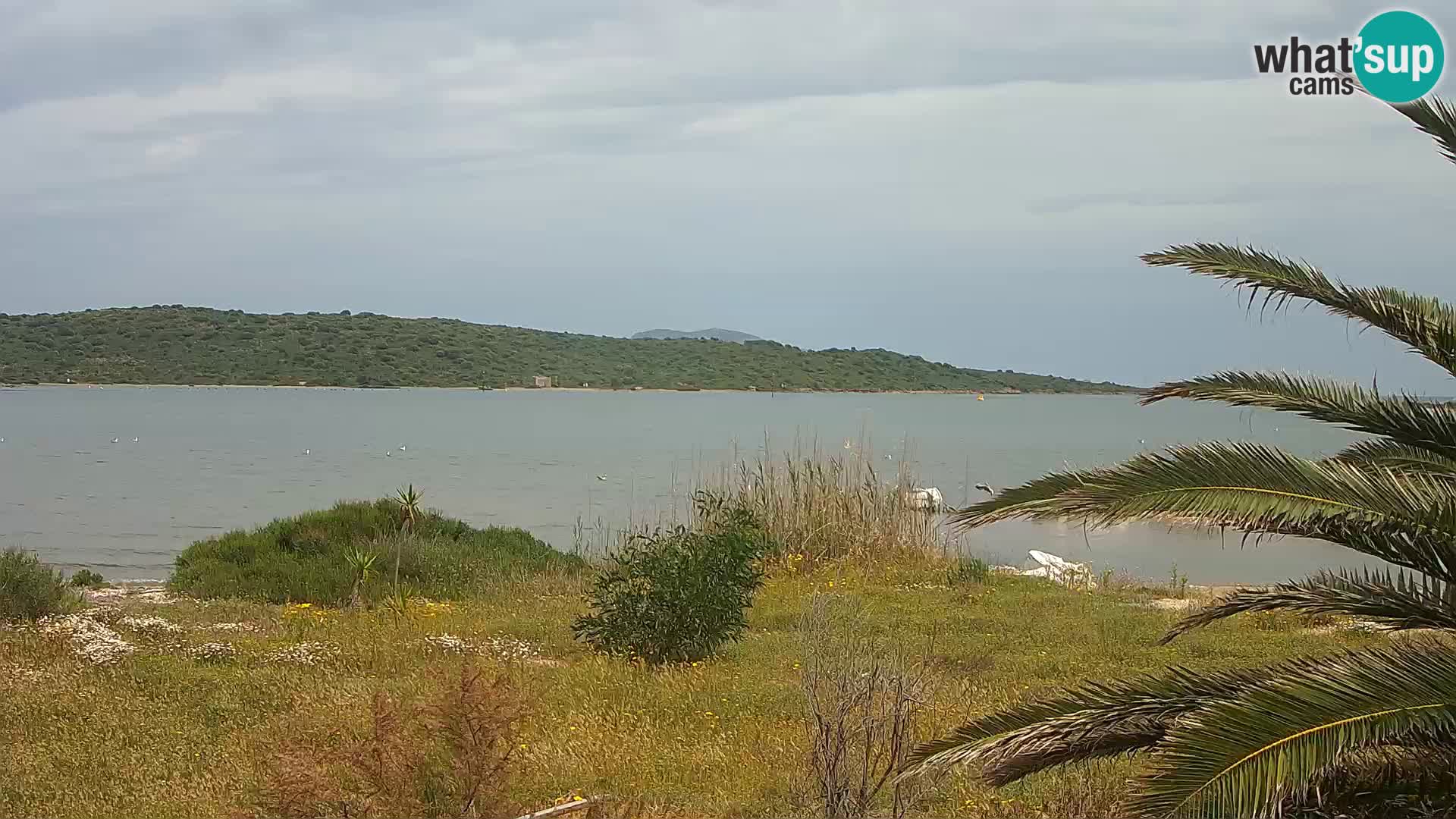 Webcam Olbia port – entrance to the port of Olbia