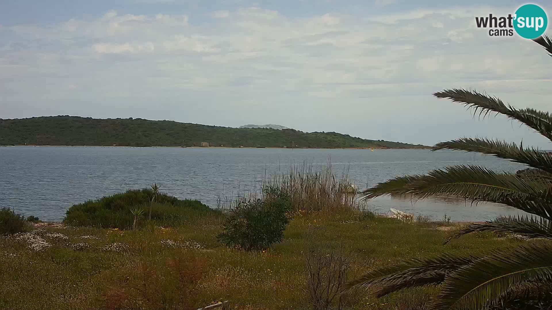Webcam Hafen Olbia – Eingang zum Hafen von Olbia