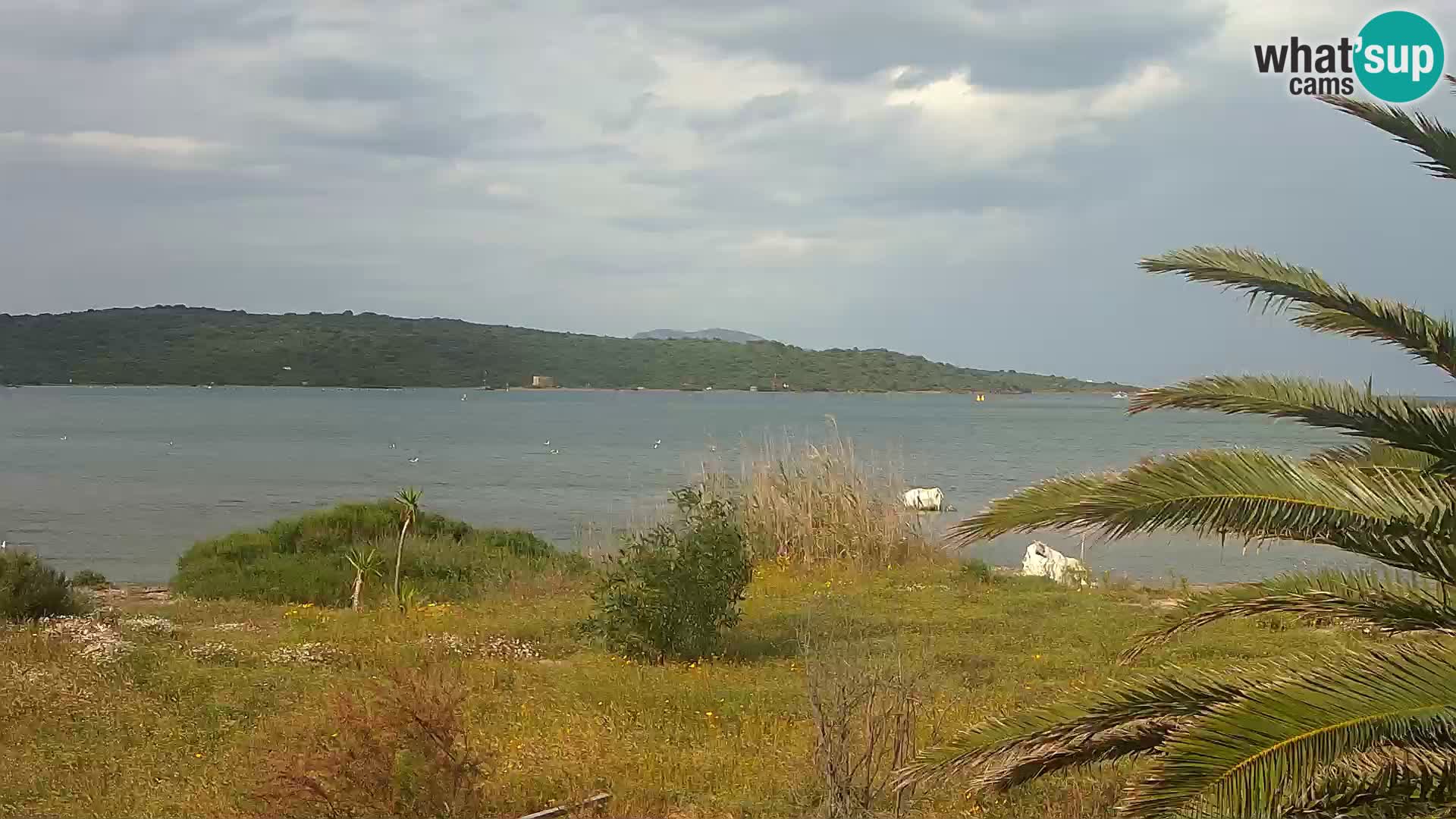 Webcam Hafen Olbia – Eingang zum Hafen von Olbia
